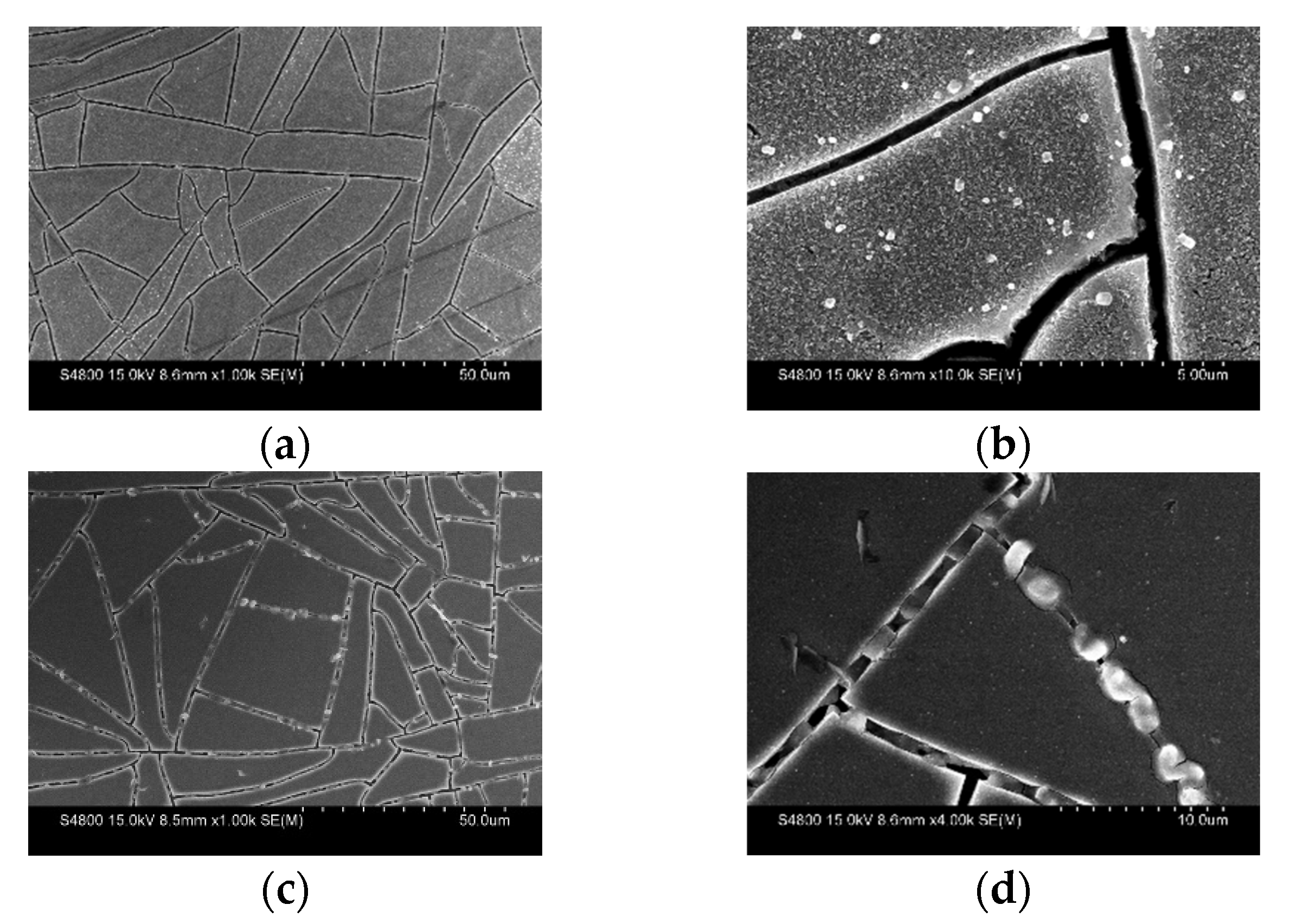 Nanomaterials 13 00478 g004
