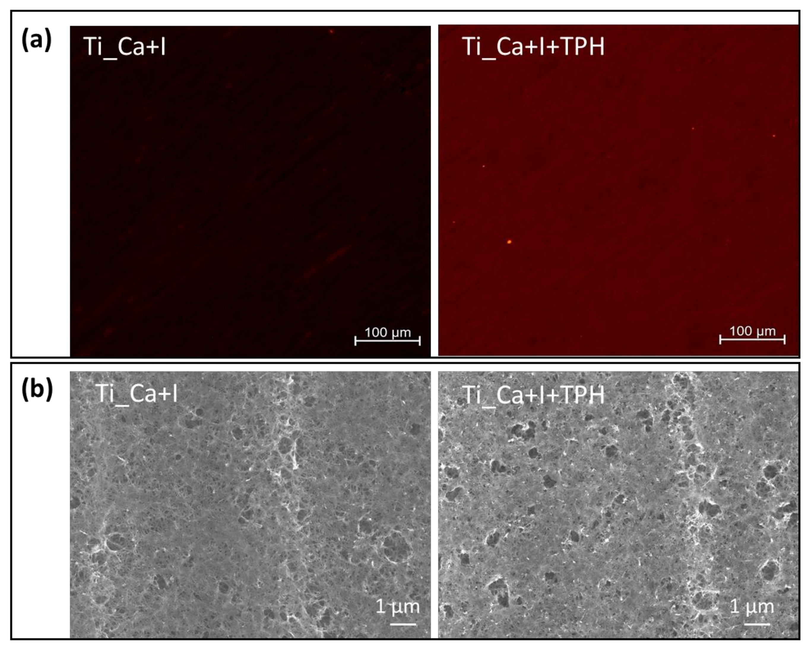 Nanomaterials 13 00479 g006