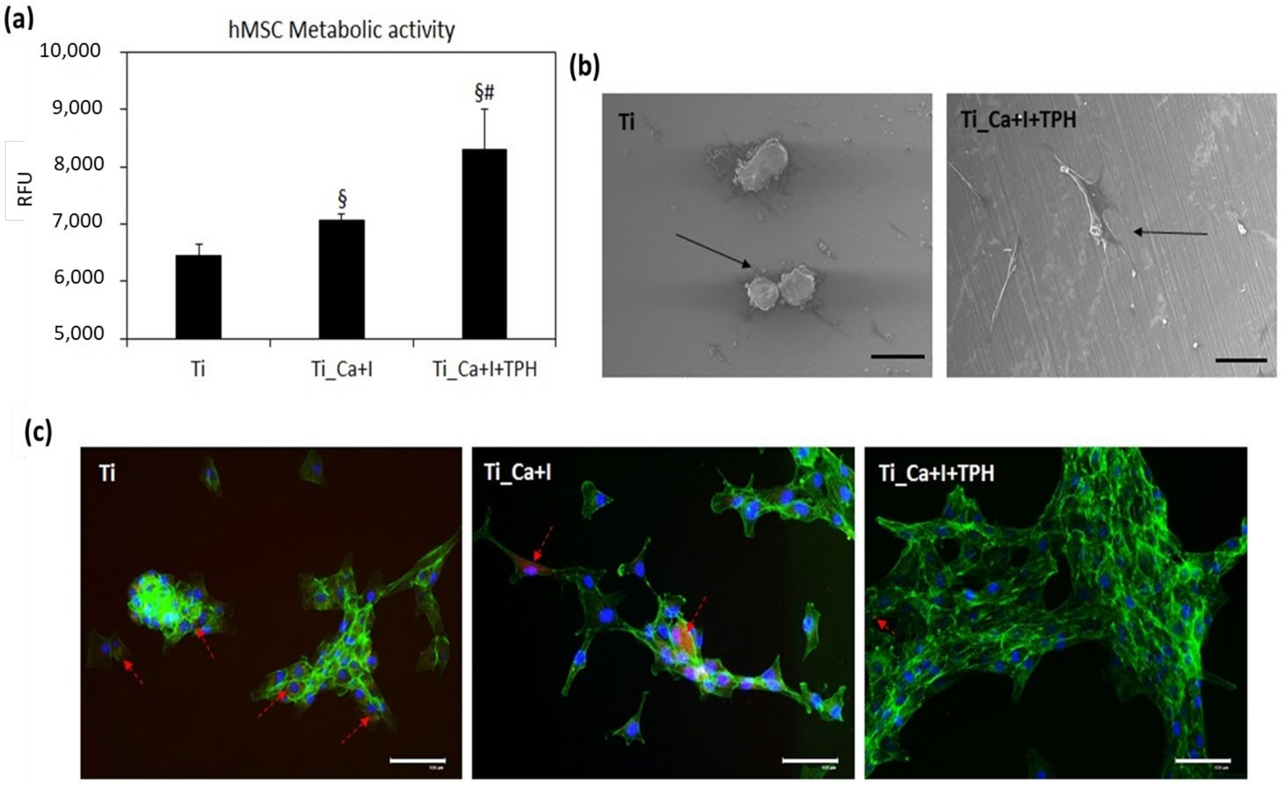 Nanomaterials 13 00479 g010