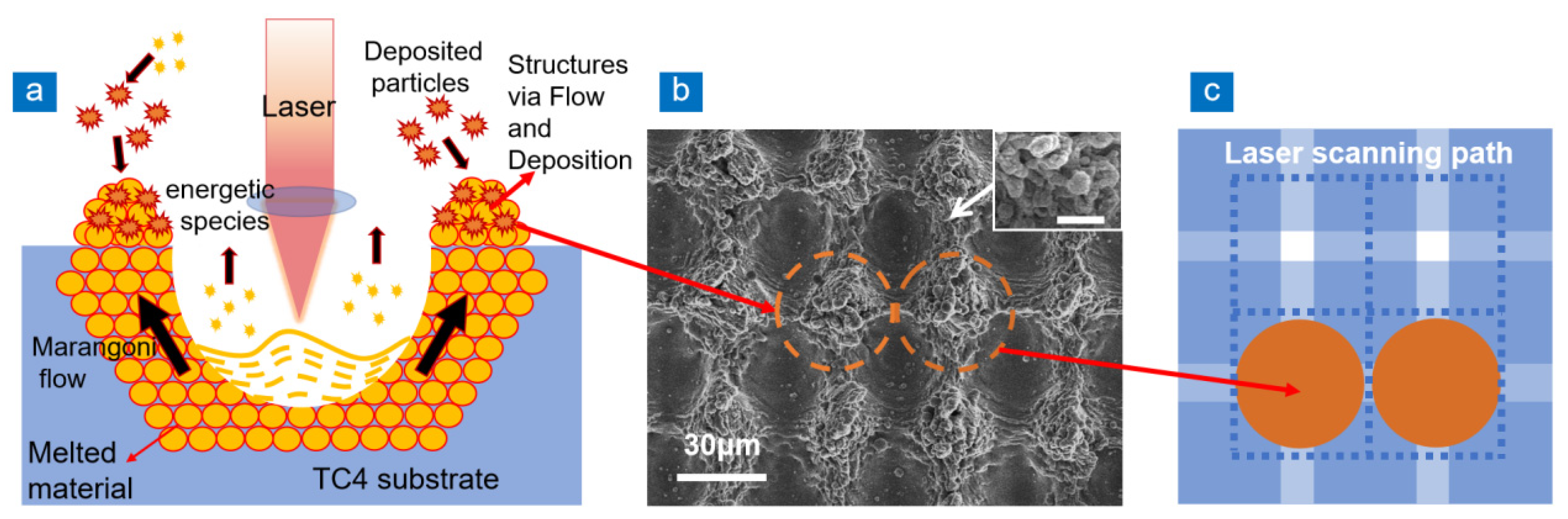 Nanomaterials 13 00480 g001