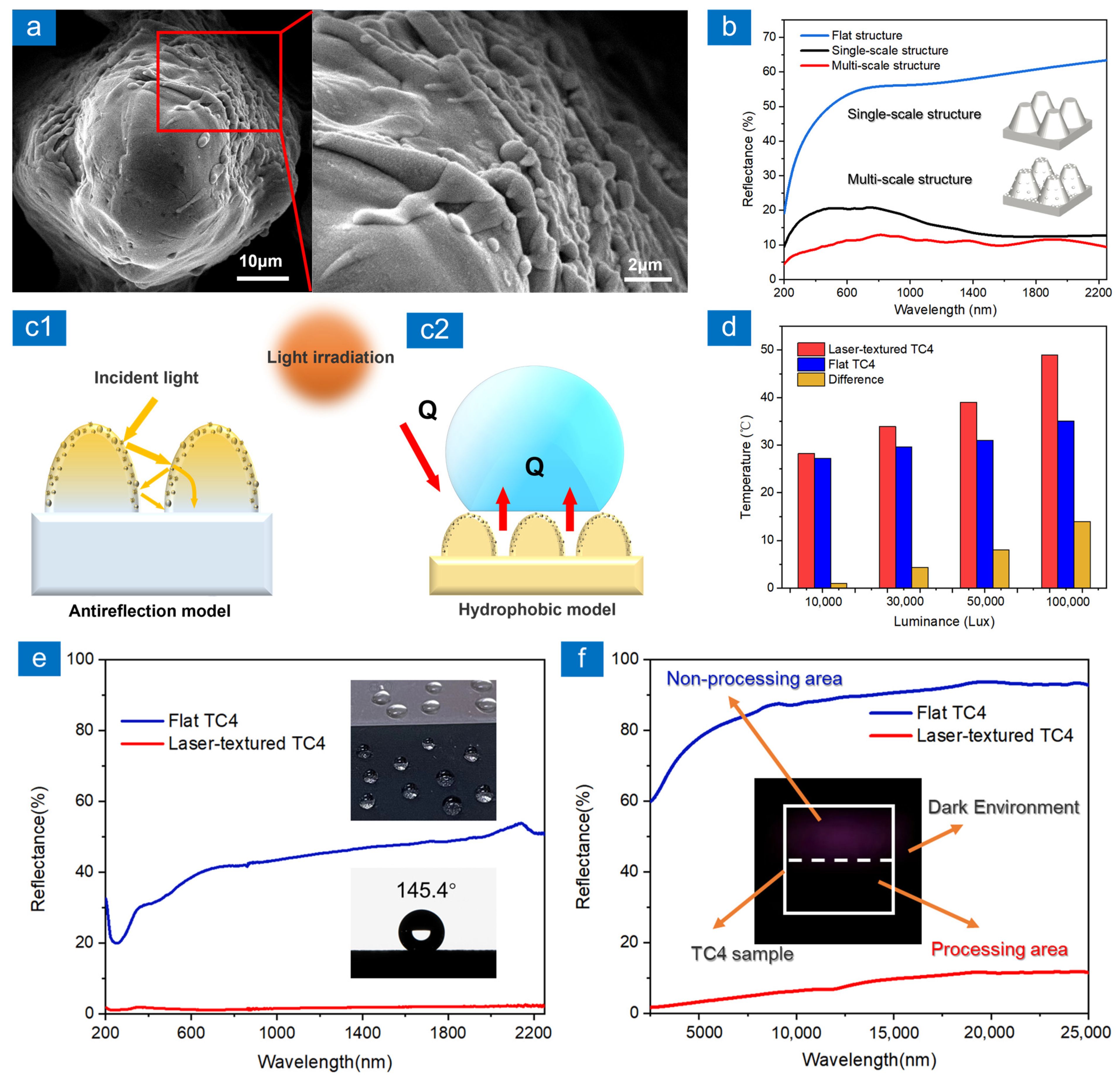 Nanomaterials 13 00480 g006