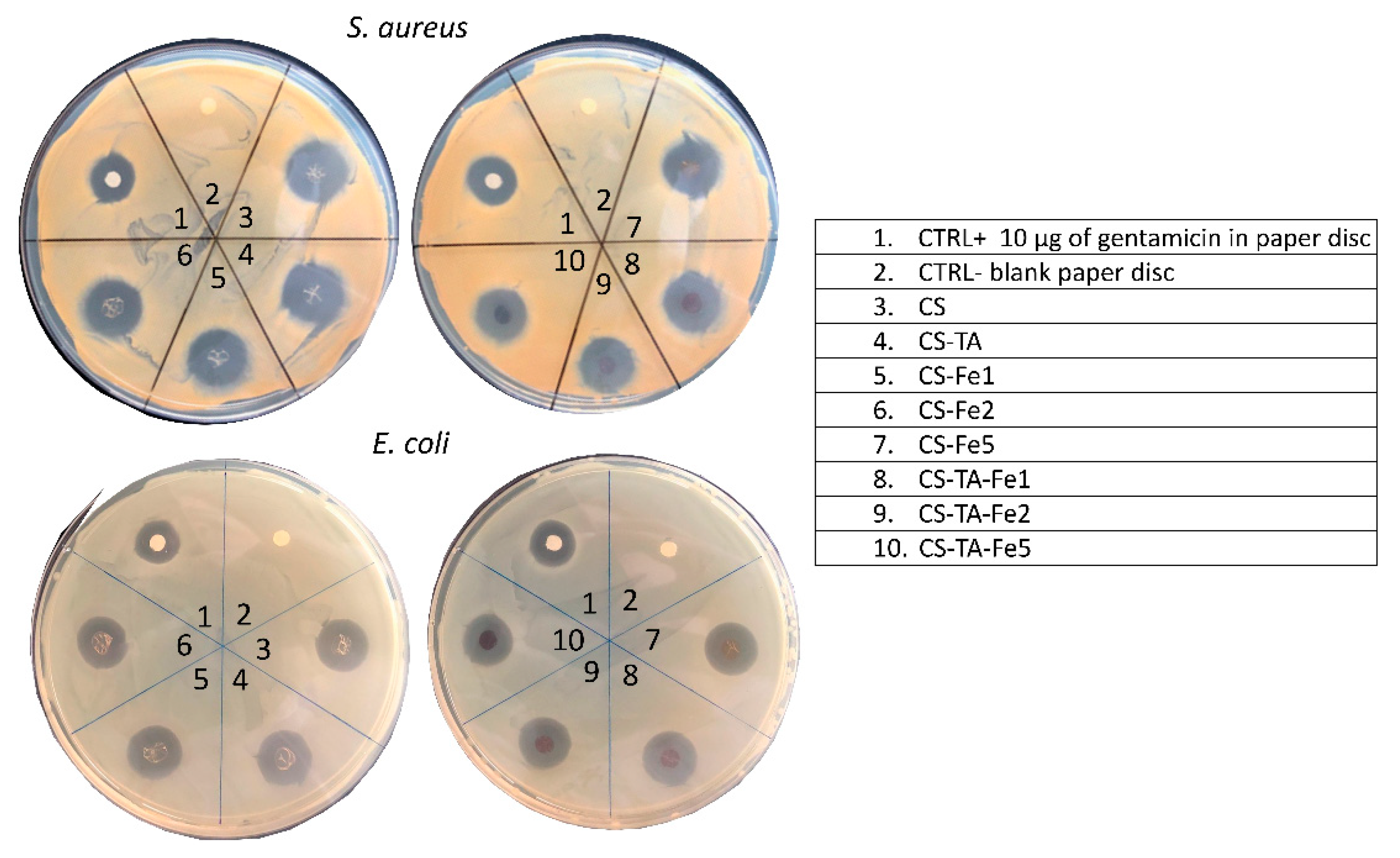 Nanomaterials 13 00484 g004