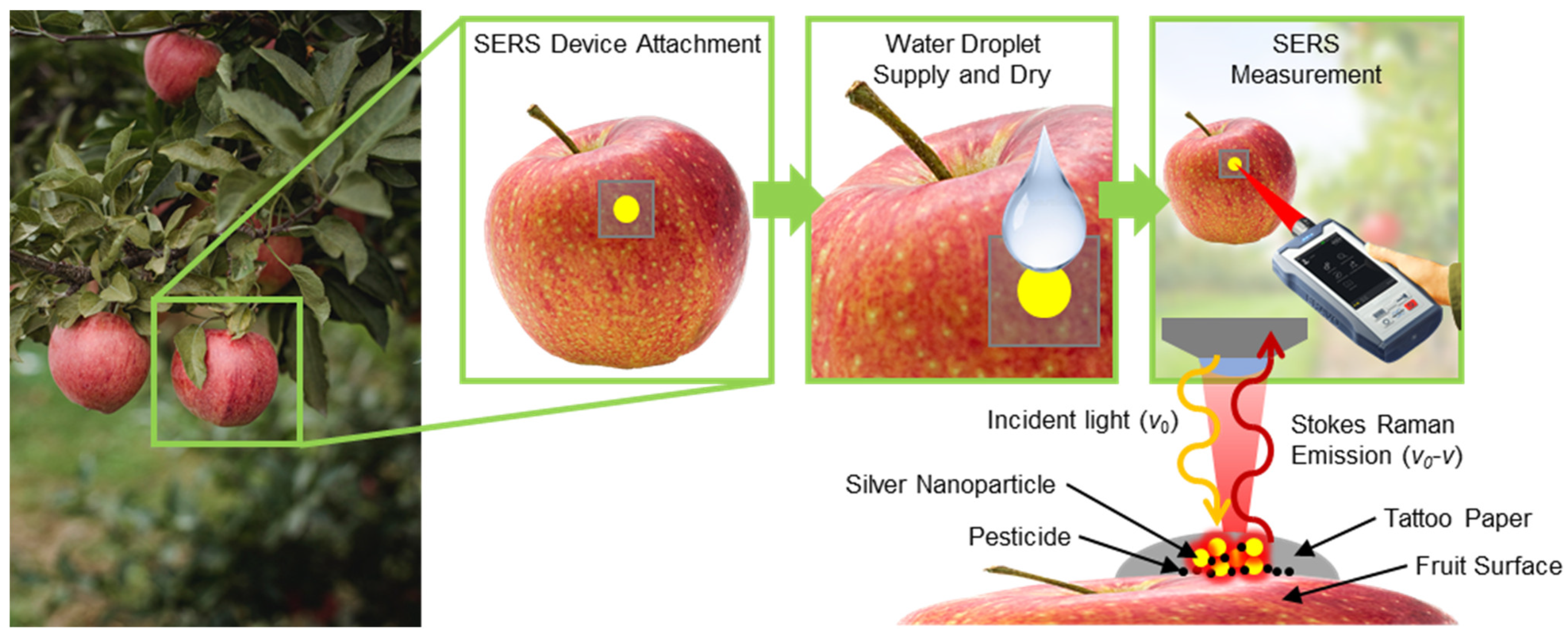 Nanomaterials 13 00486 g001