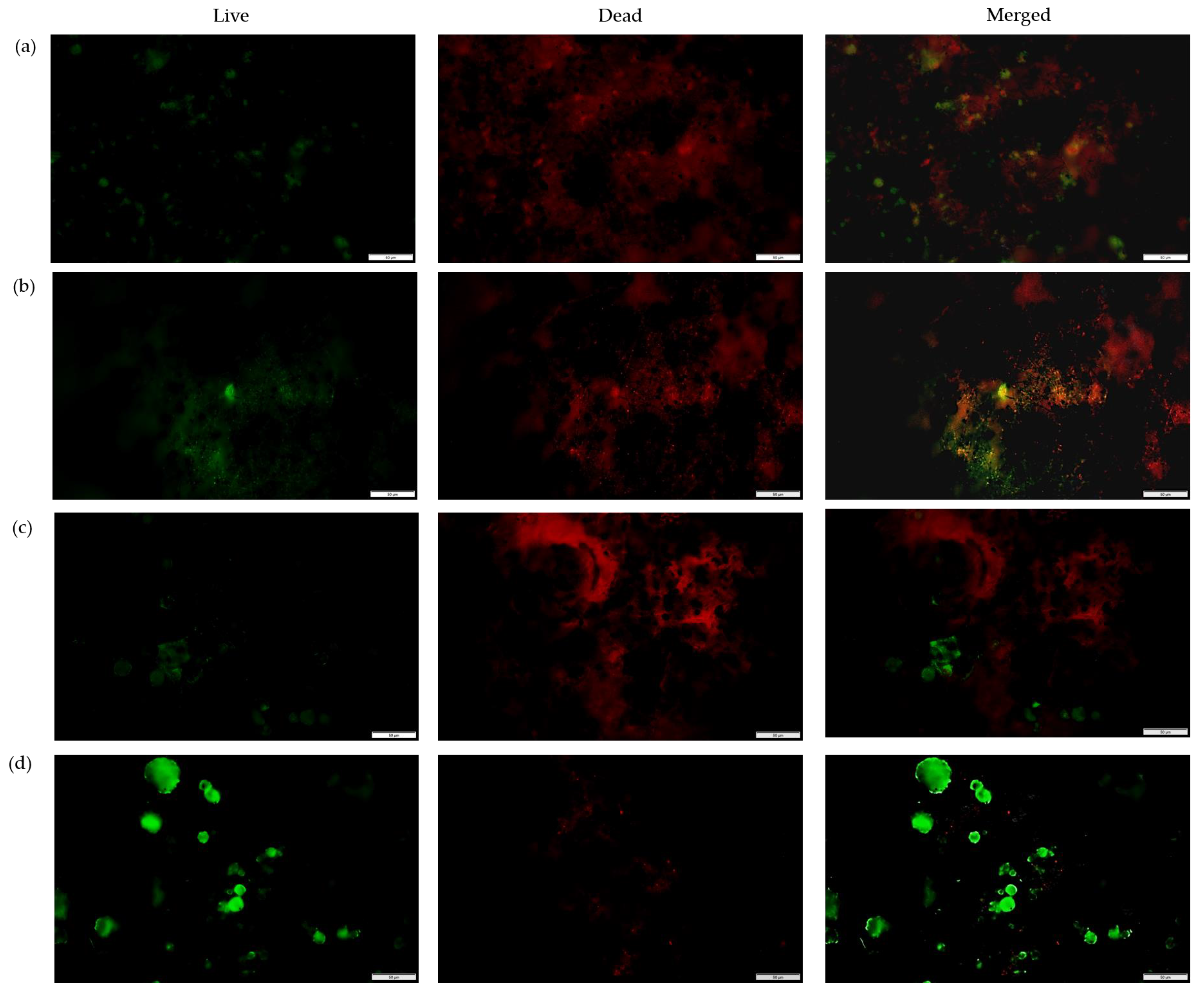 Nanomaterials 13 00488 g009 Nanomaterials 13 00488 g009