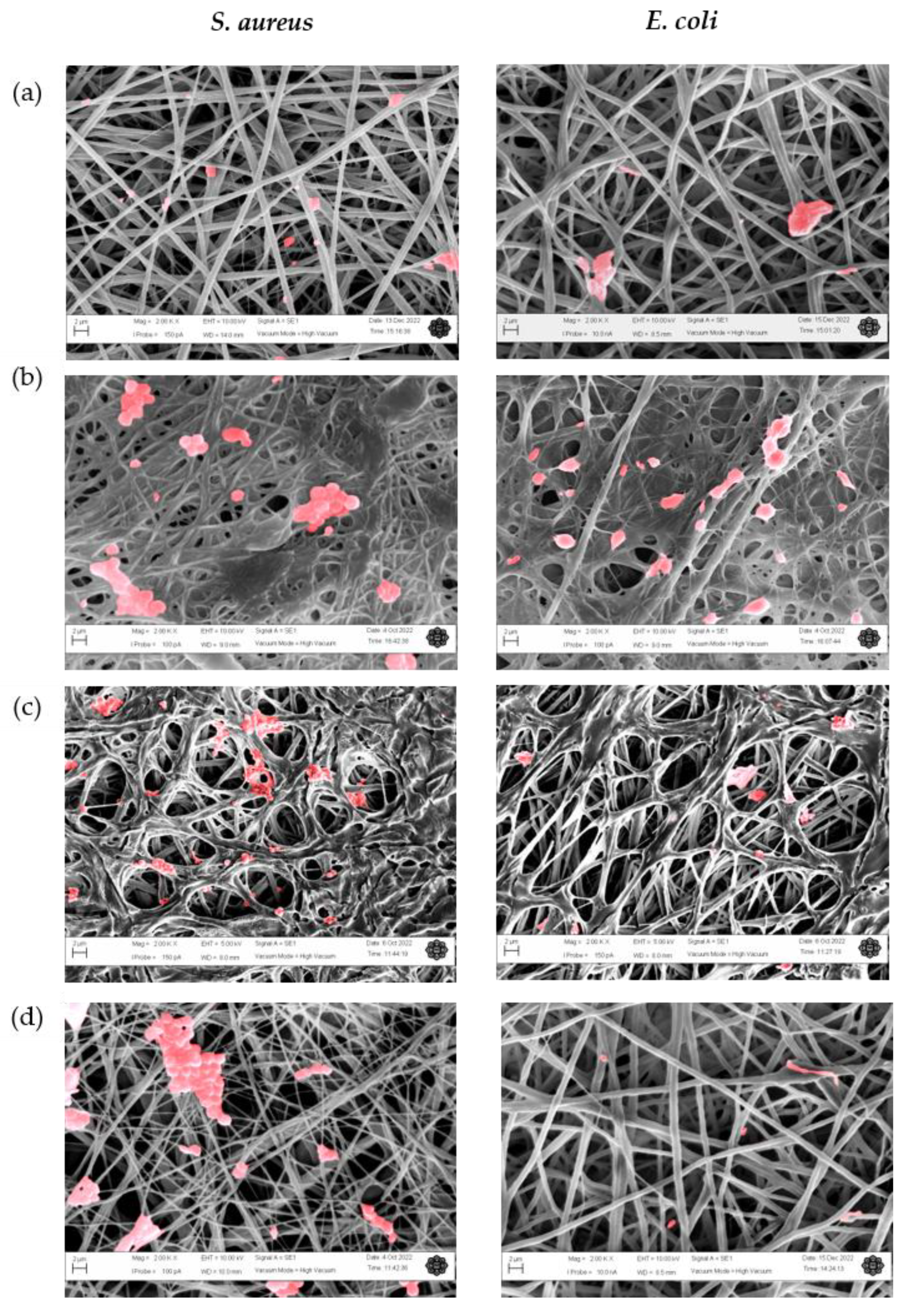 Nanomaterials 13 00488 g011 Nanomaterials 13 00488 g011