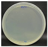 Nanomaterials 13 00488 i003