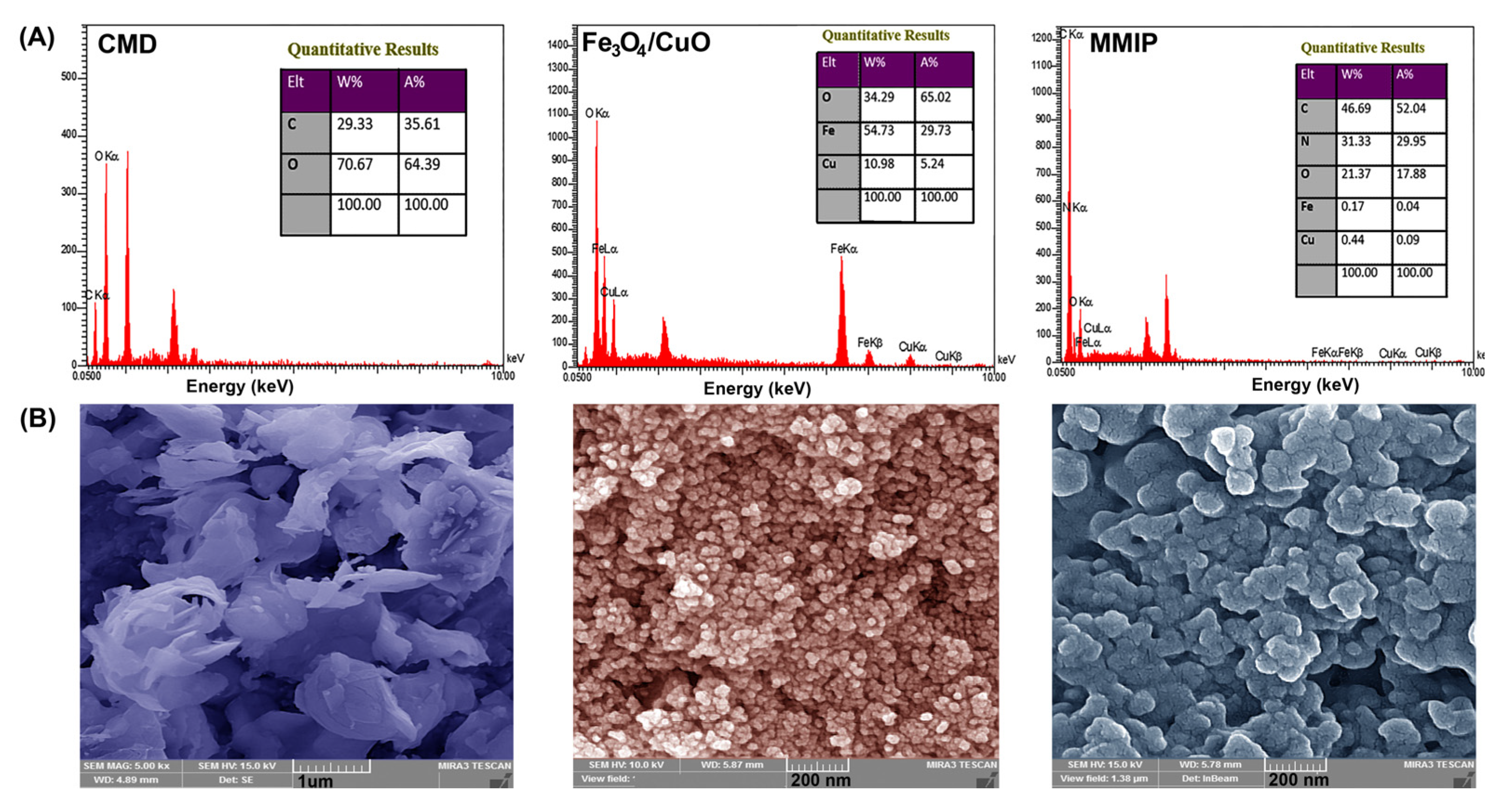 Nanomaterials 13 00489 g003