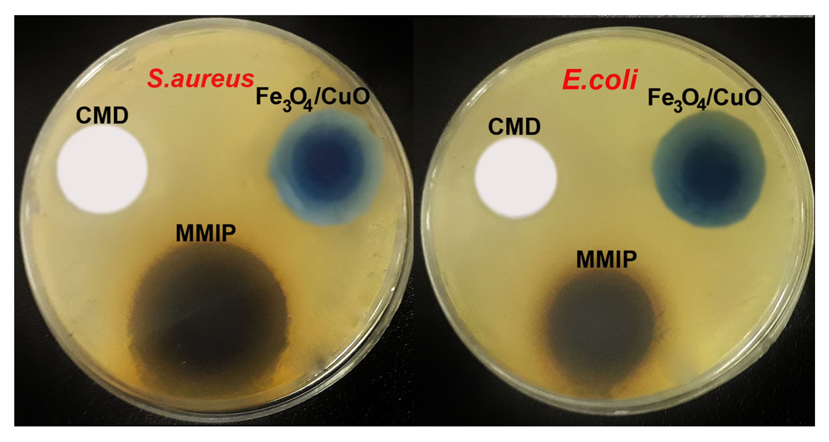 Nanomaterials 13 00489 g006