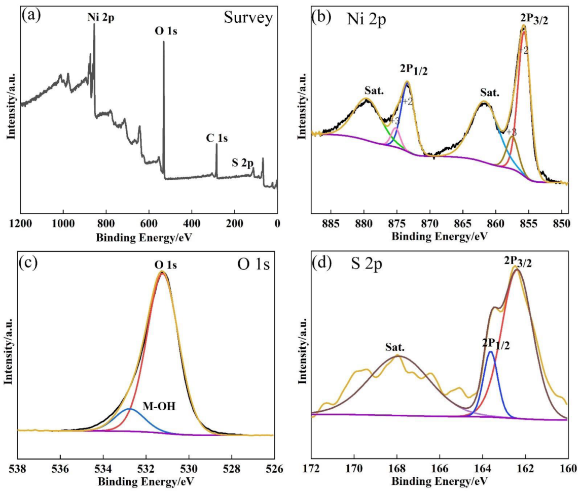 Nanomaterials 13 00493 g003