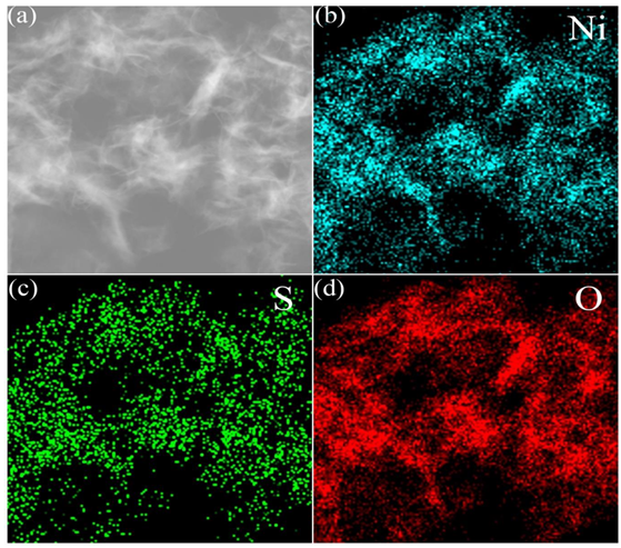 Nanomaterials 13 00493 g006