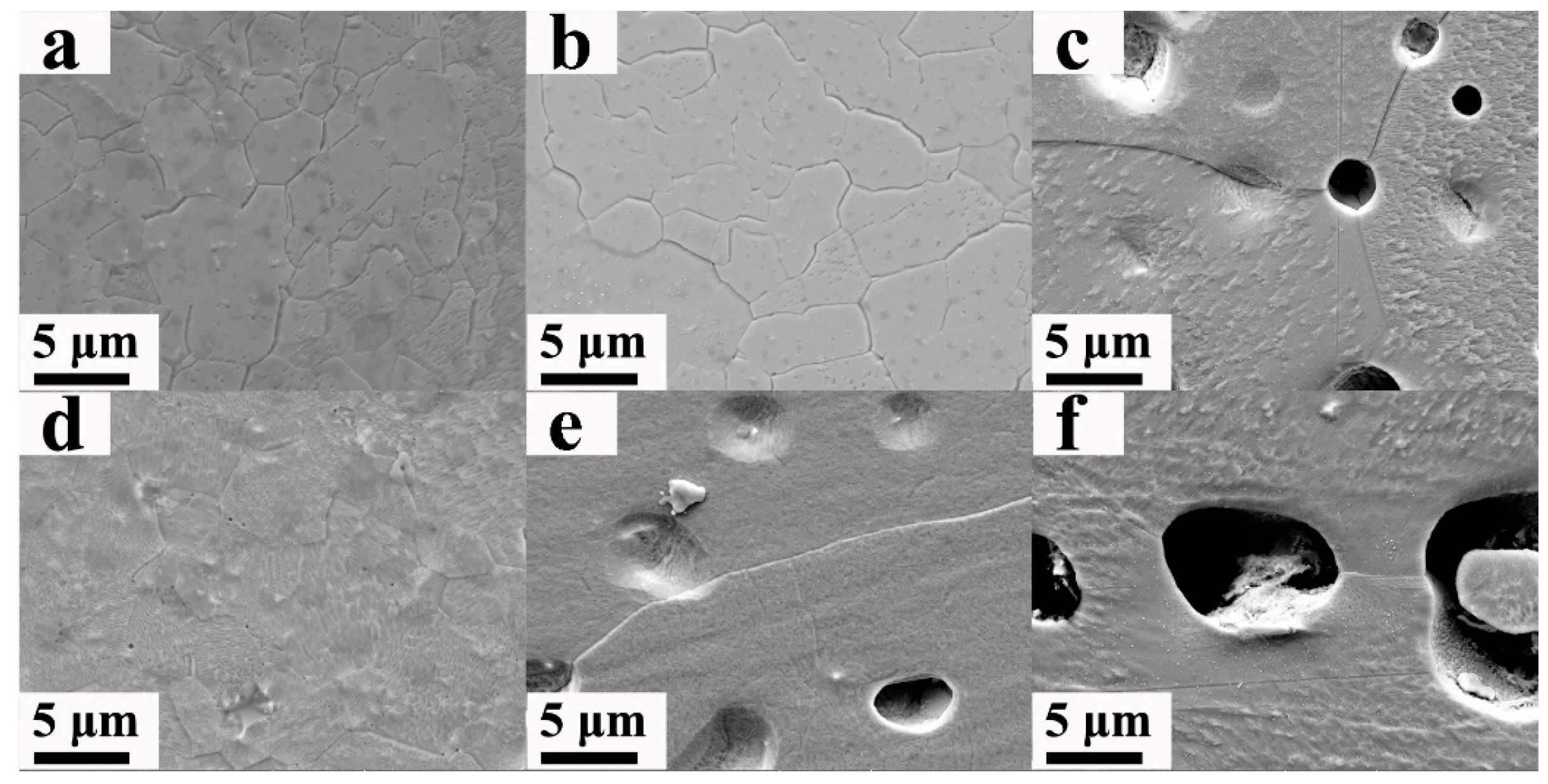 Nanomaterials 13 00497 g003