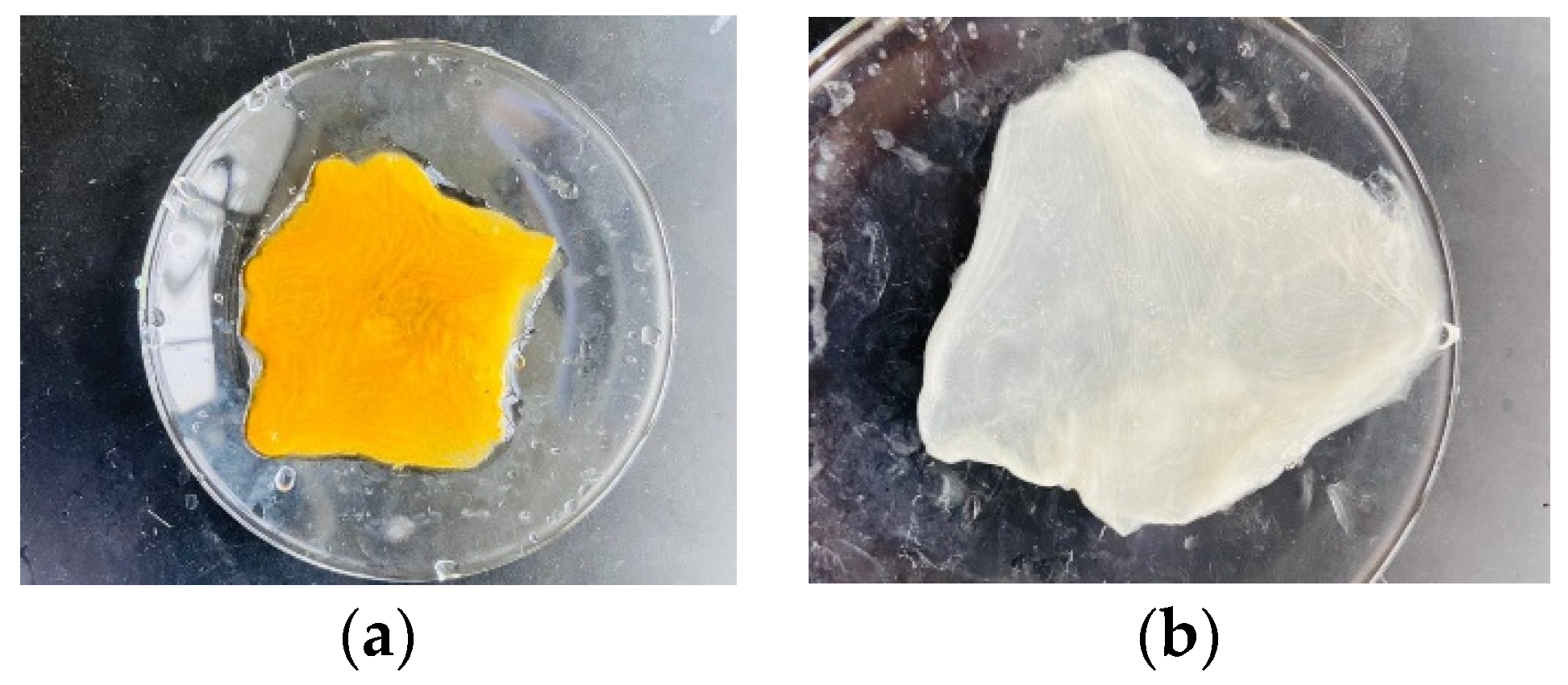 Nanomaterials 13 00498 g006