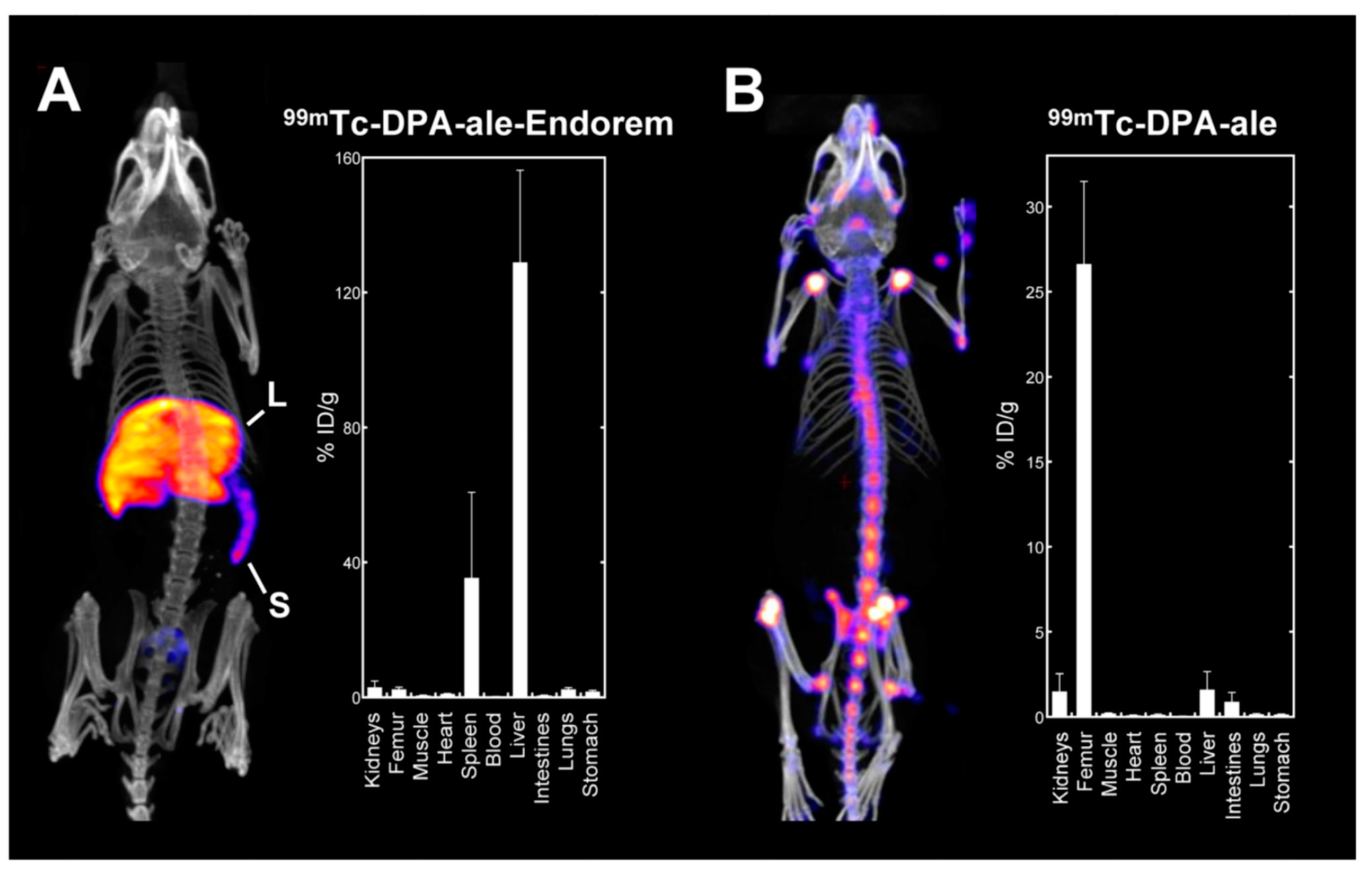 Nanomaterials 13 00503 g001 Nanomaterials 13 00503 g001