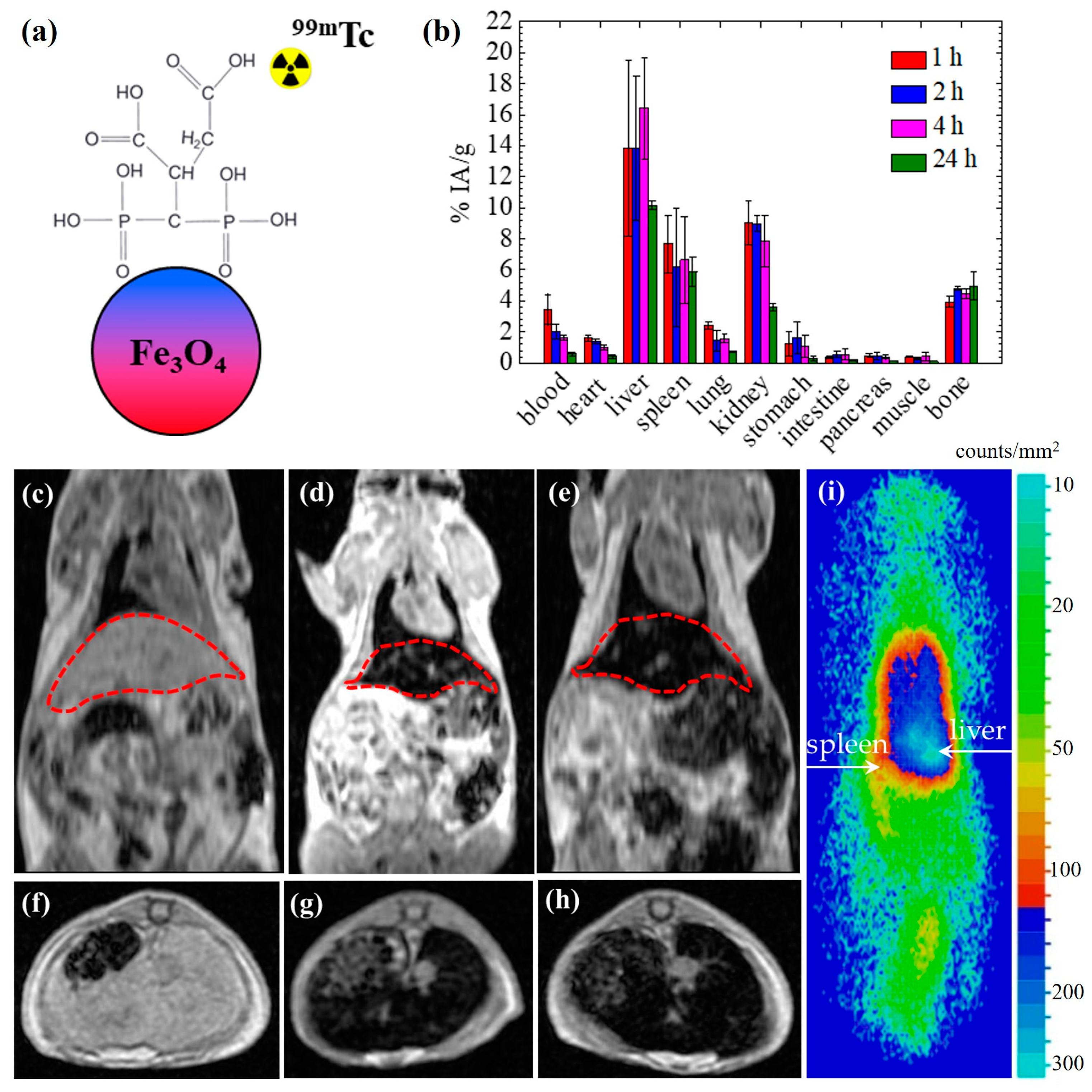 Nanomaterials 13 00503 g004 Nanomaterials 13 00503 g004