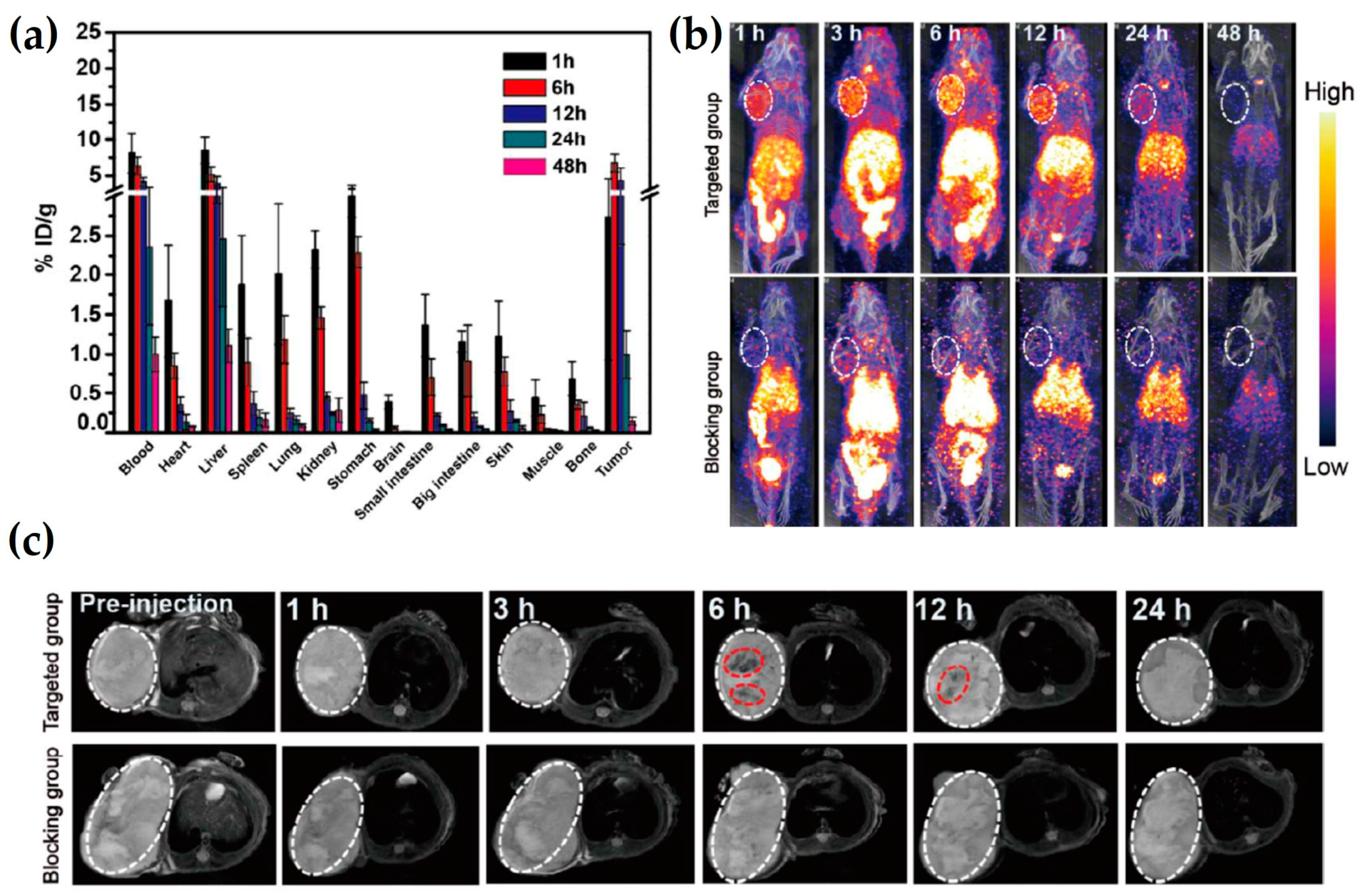 Nanomaterials 13 00503 g005 Nanomaterials 13 00503 g005