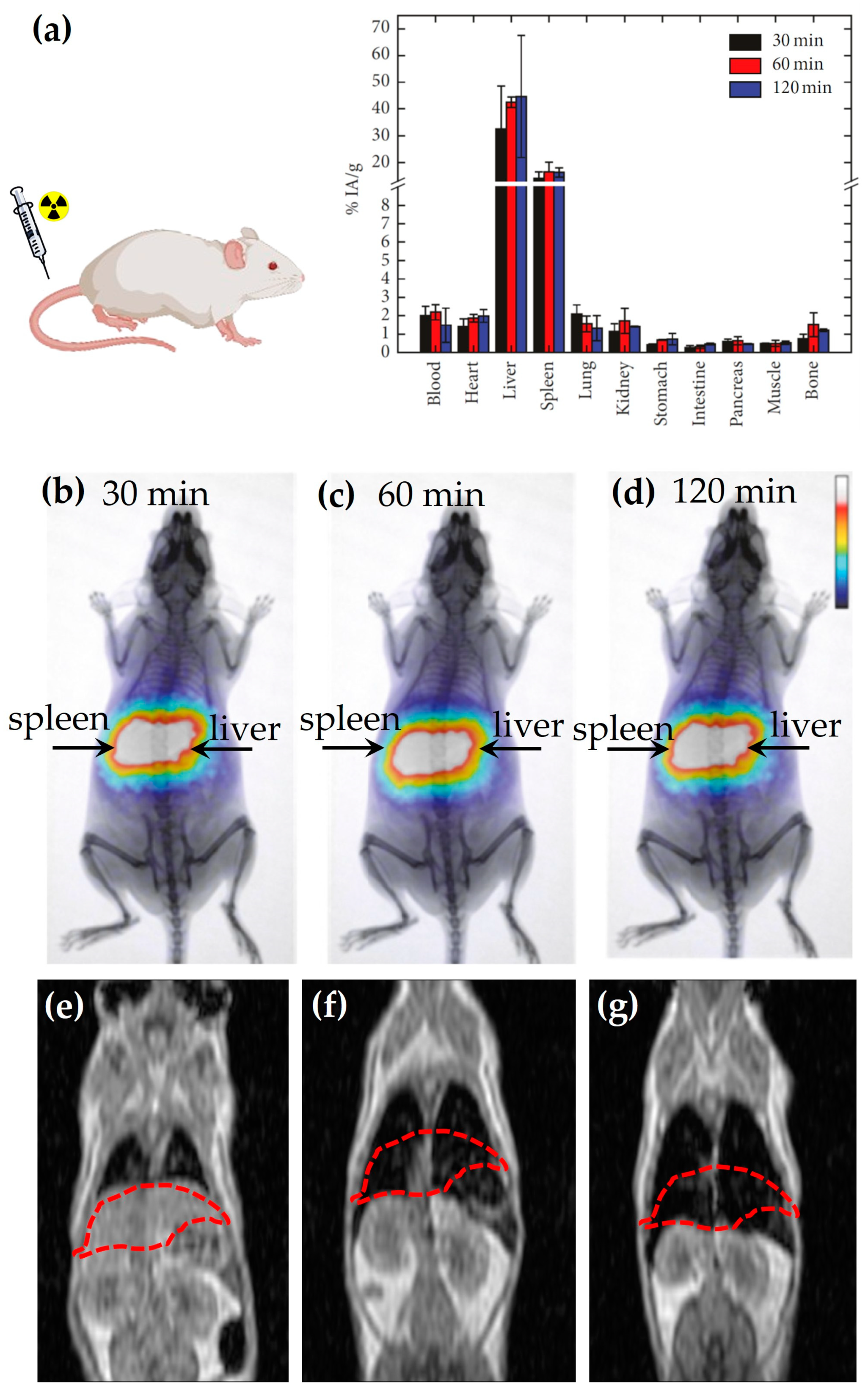 Nanomaterials 13 00503 g006 Nanomaterials 13 00503 g006