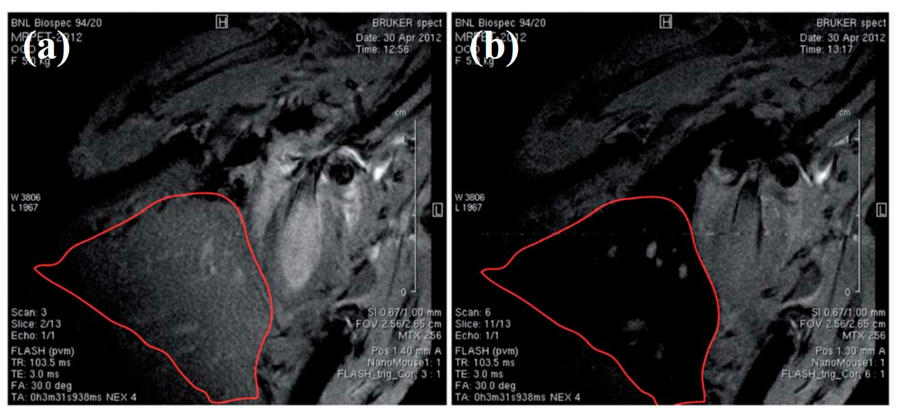 Nanomaterials 13 00503 g007 Nanomaterials 13 00503 g007