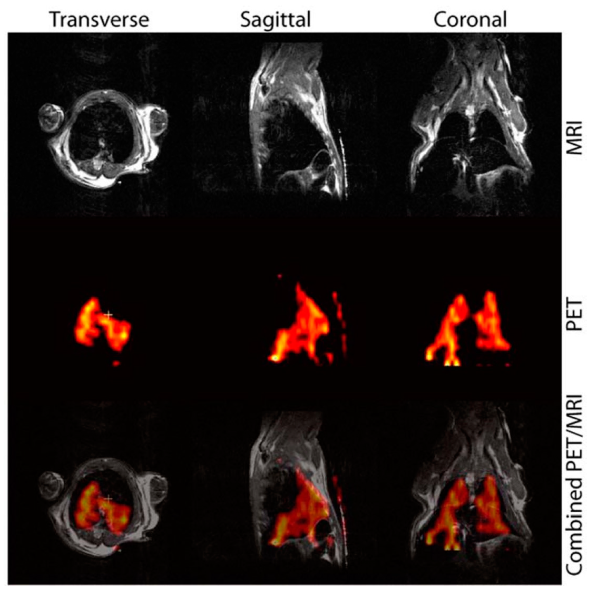 Nanomaterials 13 00503 g008 Nanomaterials 13 00503 g008