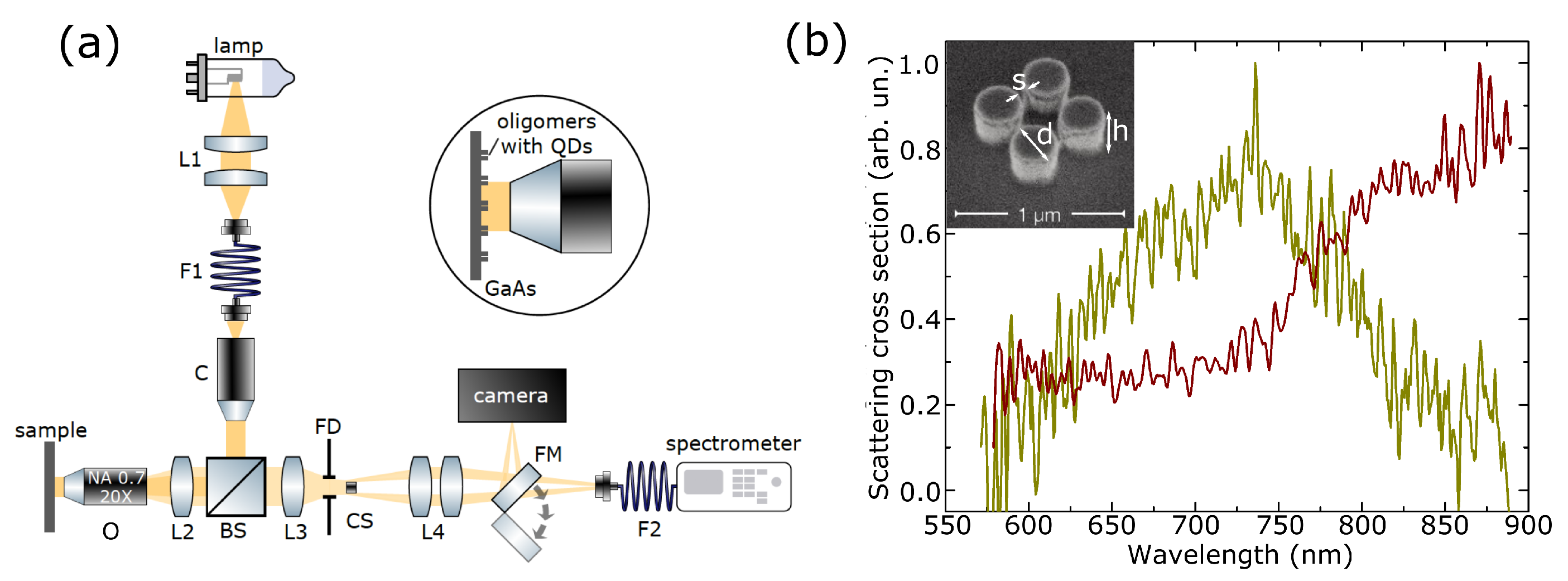 Nanomaterials 13 00507 g002