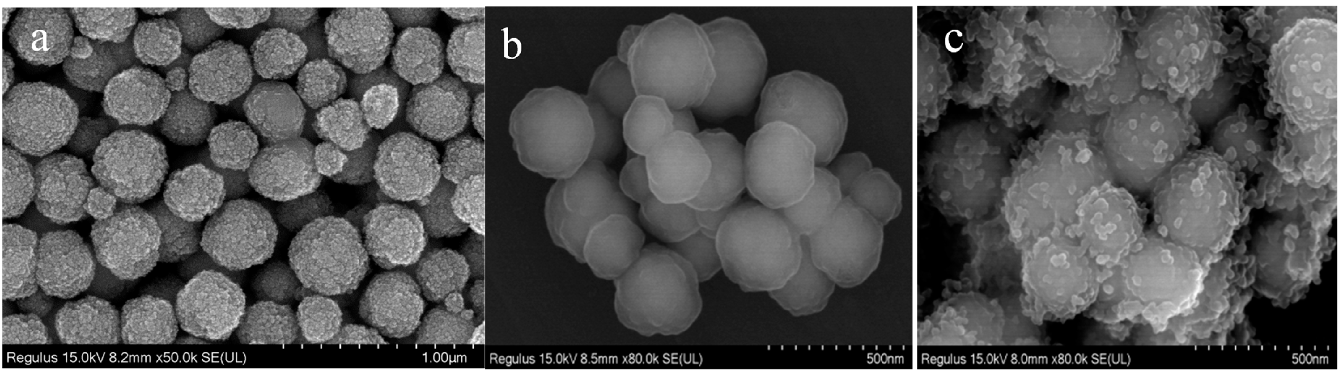 Nanomaterials 13 00509 g001