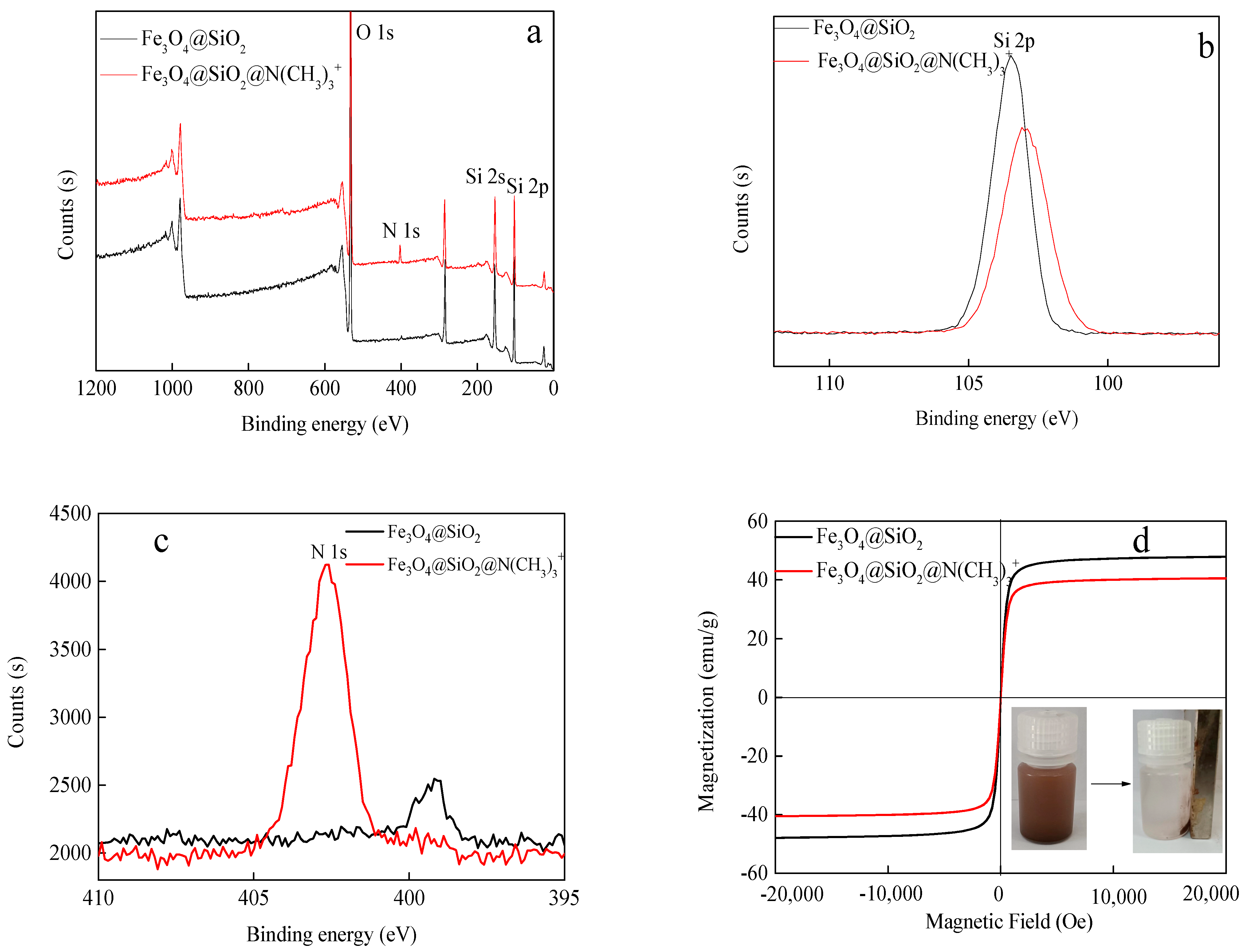 Nanomaterials 13 00509 g003