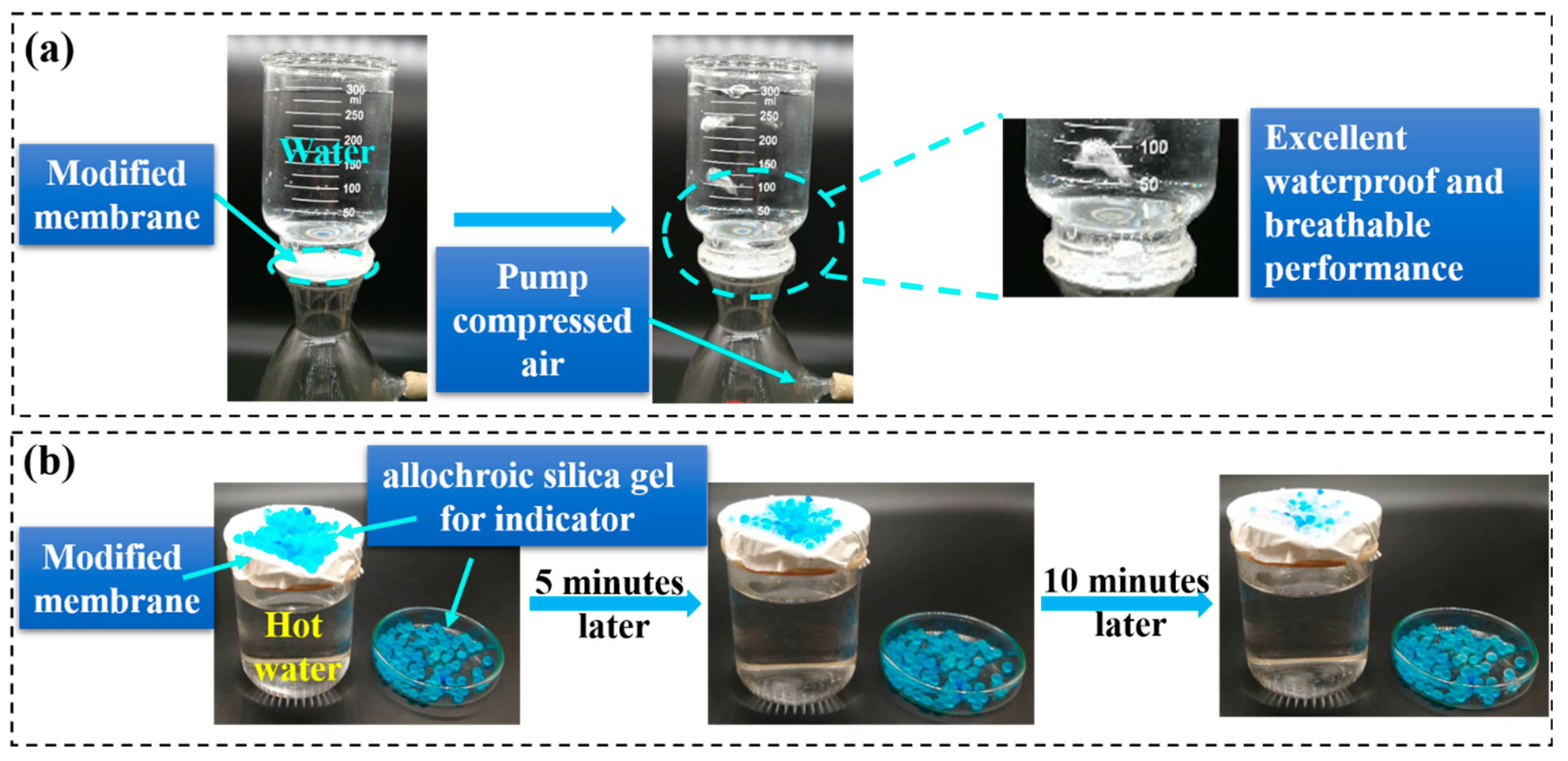 Nanomaterials 13 00516 g011