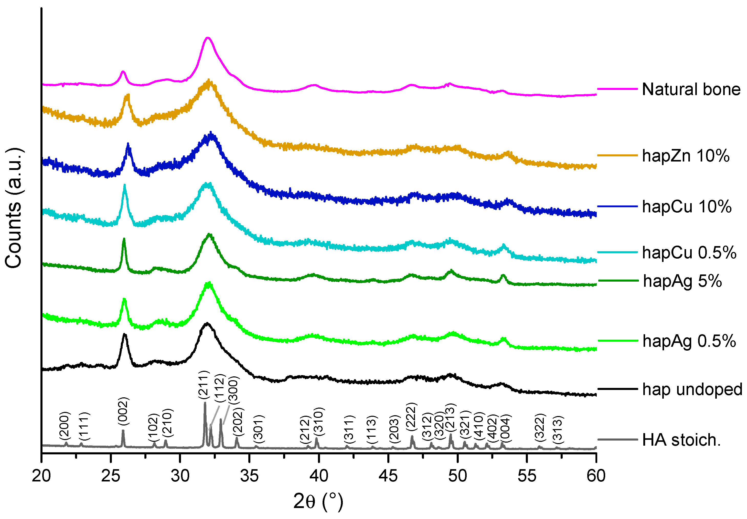 Nanomaterials 13 00519 g002