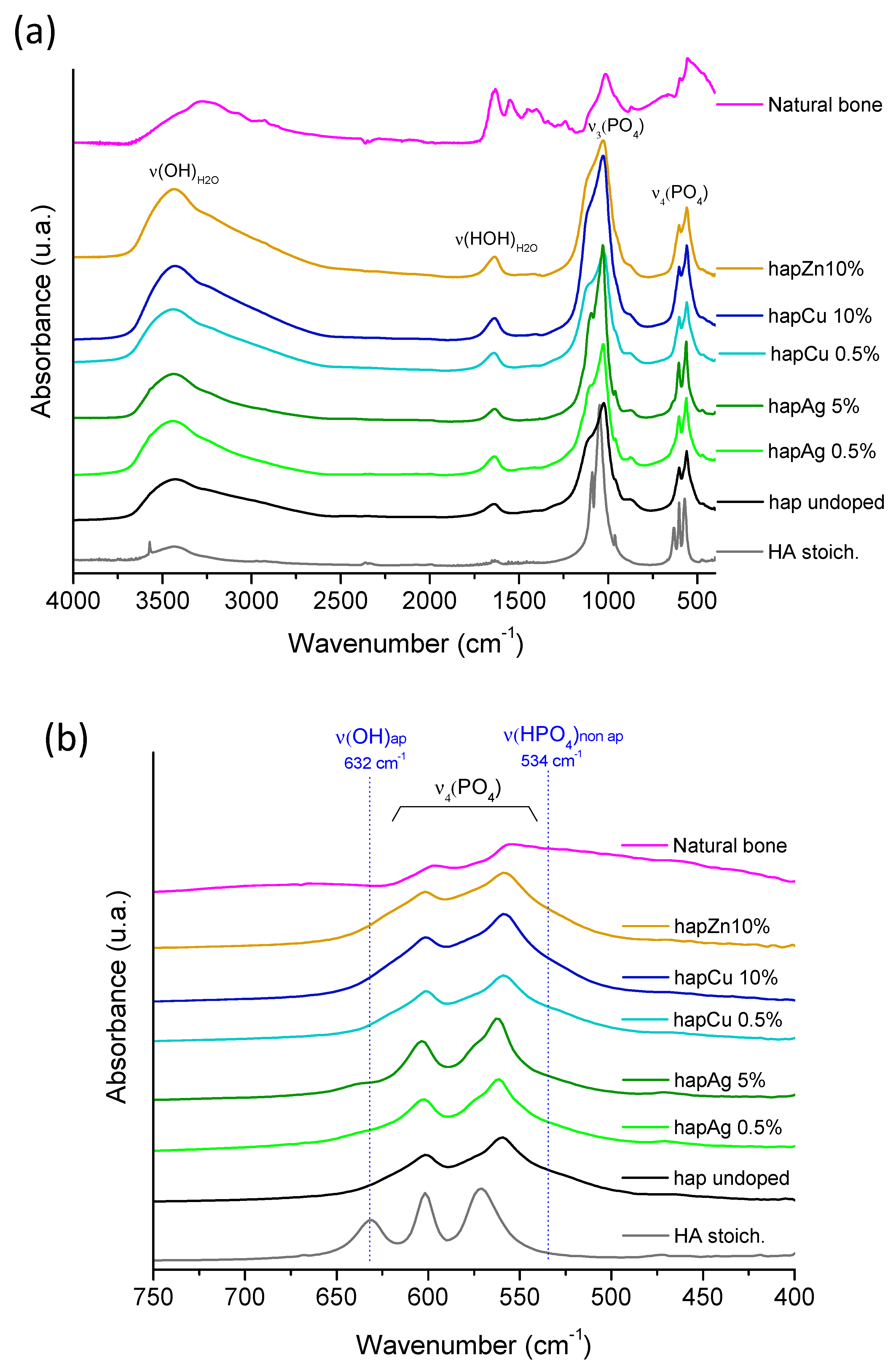 Nanomaterials 13 00519 g003