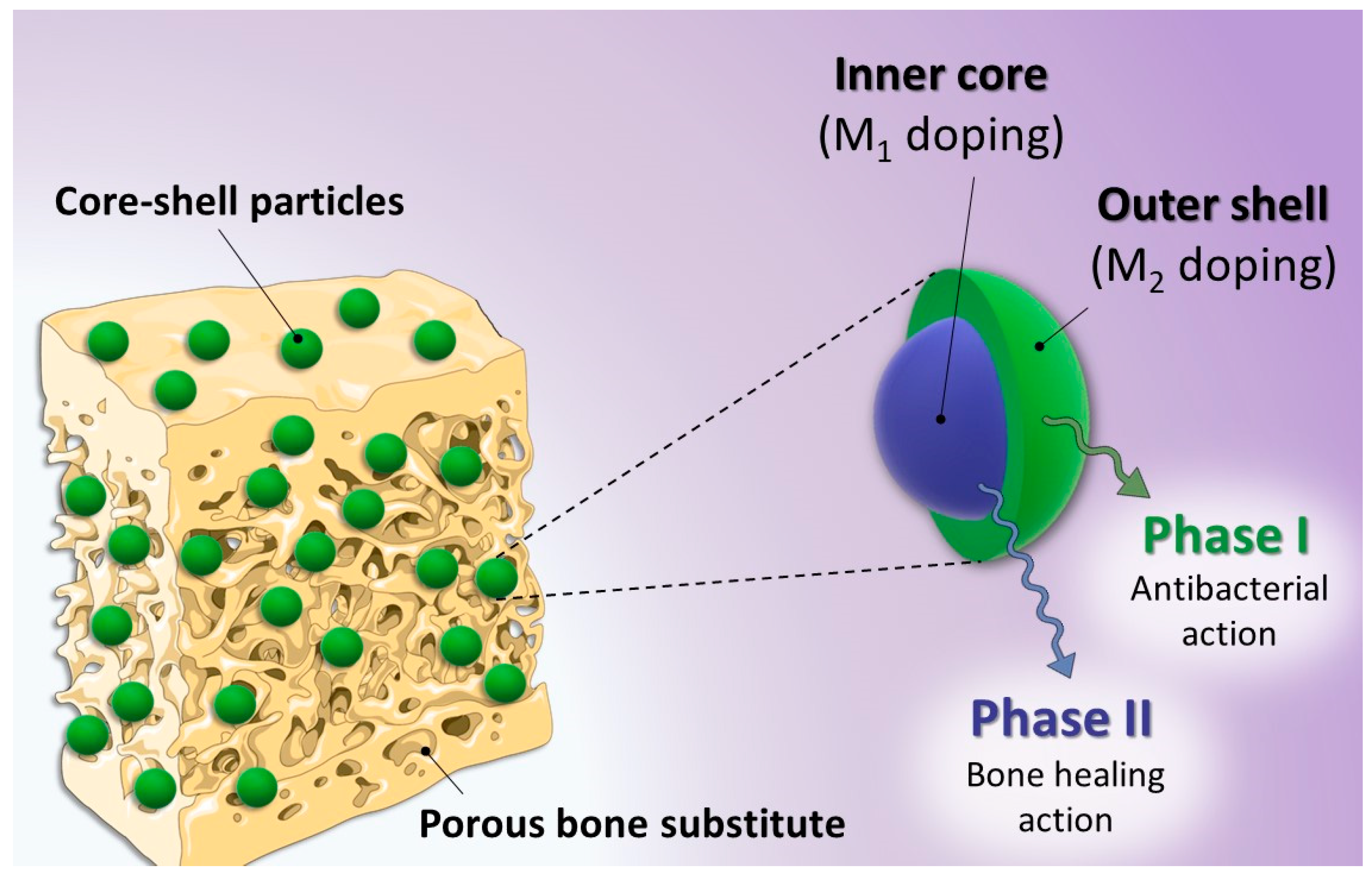 Nanomaterials 13 00519 g004