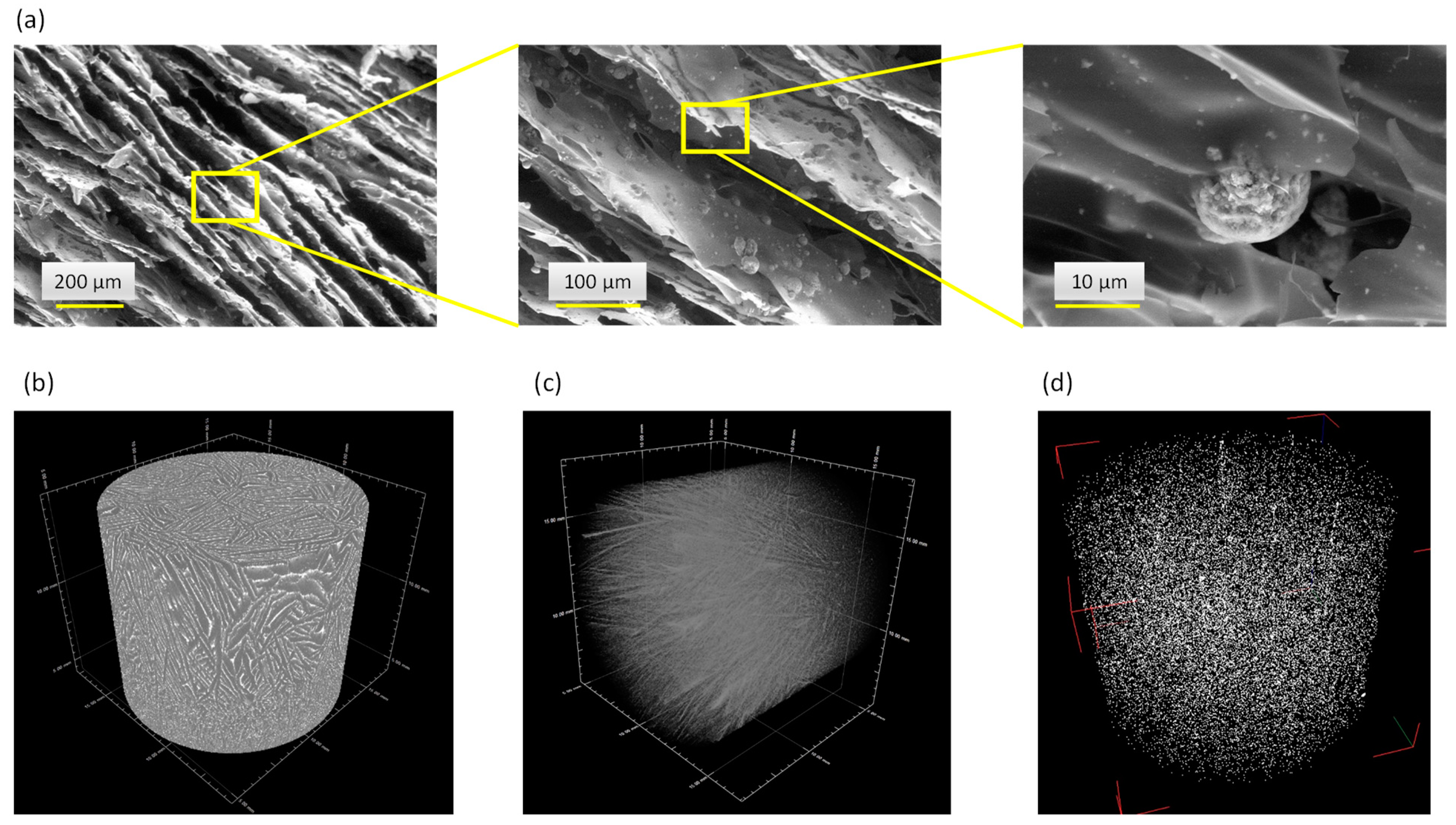 Nanomaterials 13 00519 g007
