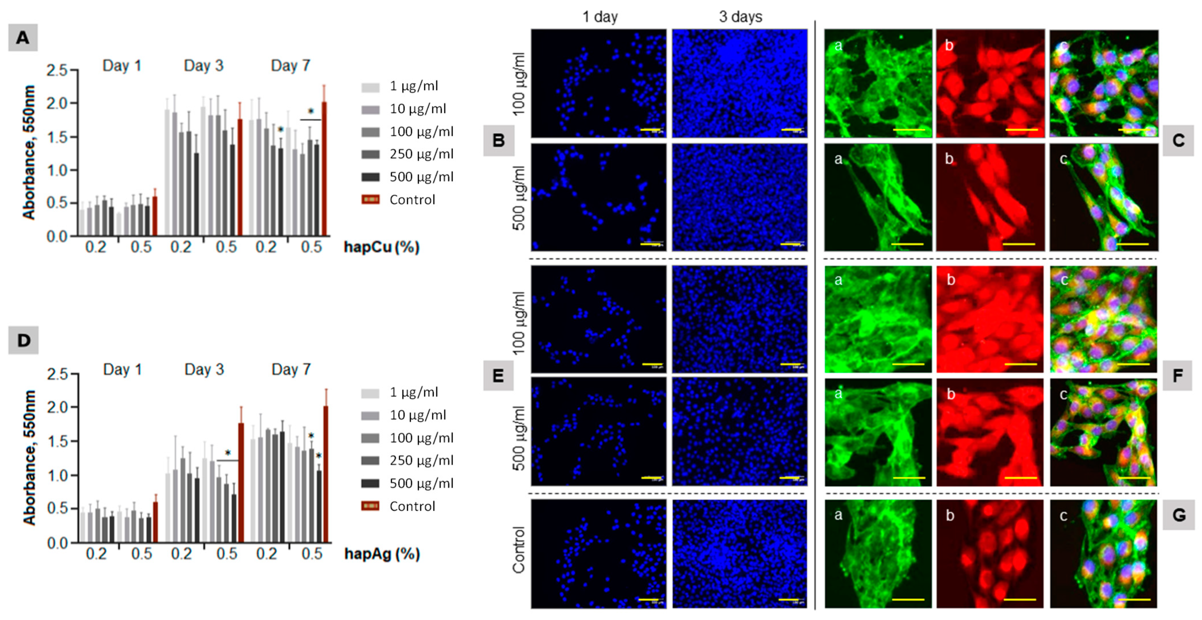 Nanomaterials 13 00519 g008