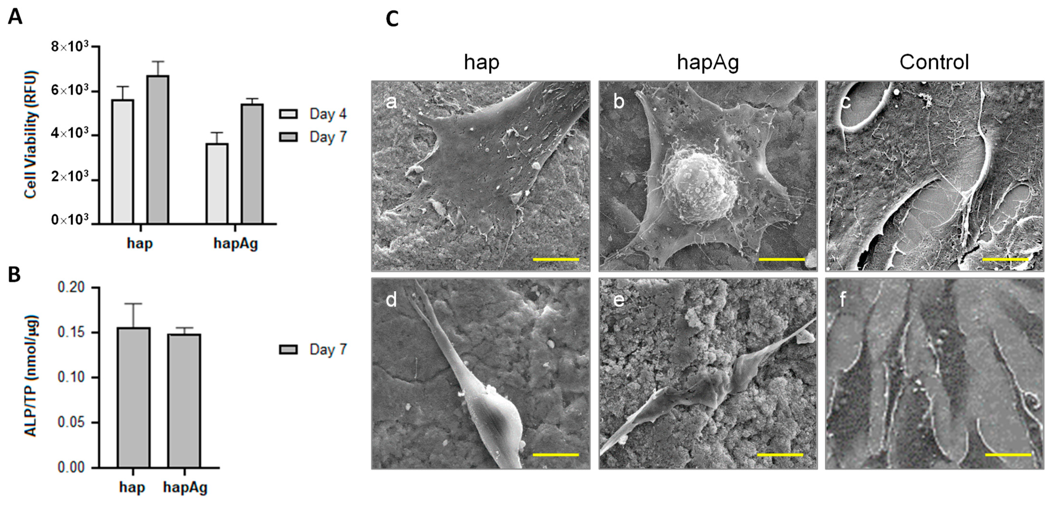 Nanomaterials 13 00519 g009