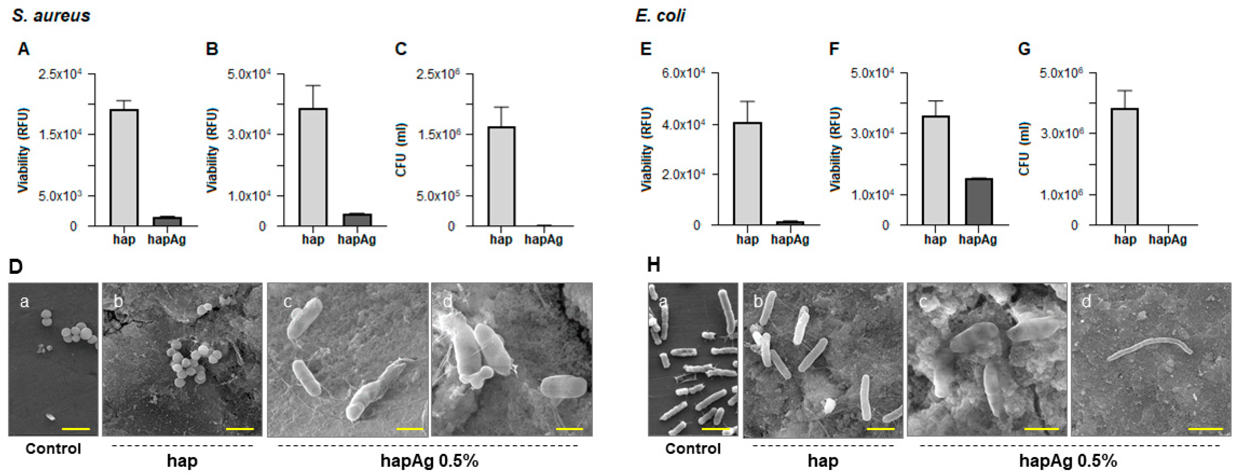 Nanomaterials 13 00519 g010