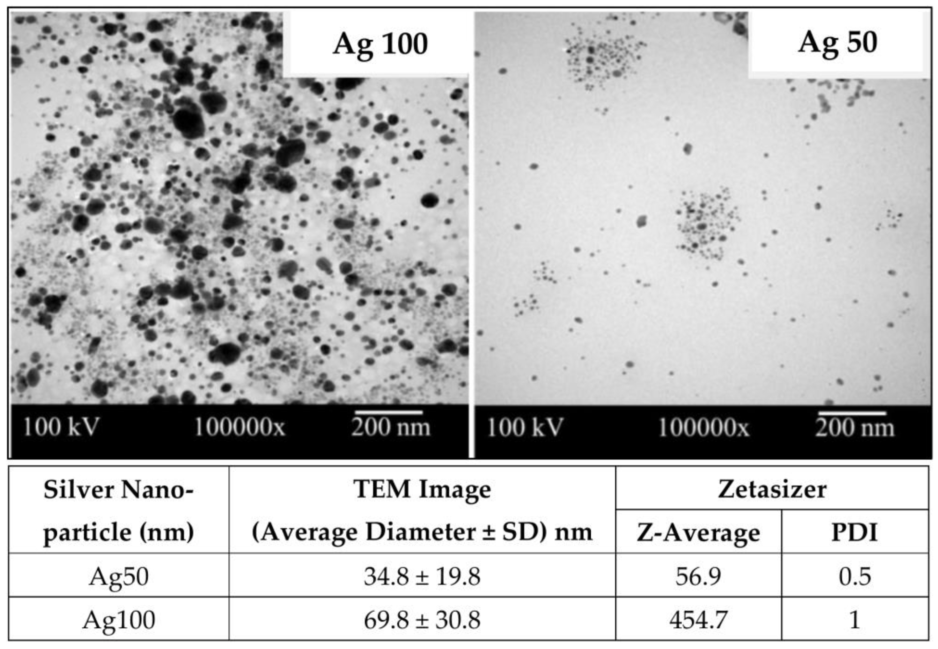 Nanomaterials 13 00521 g001 Nanomaterials 13 00521 g001