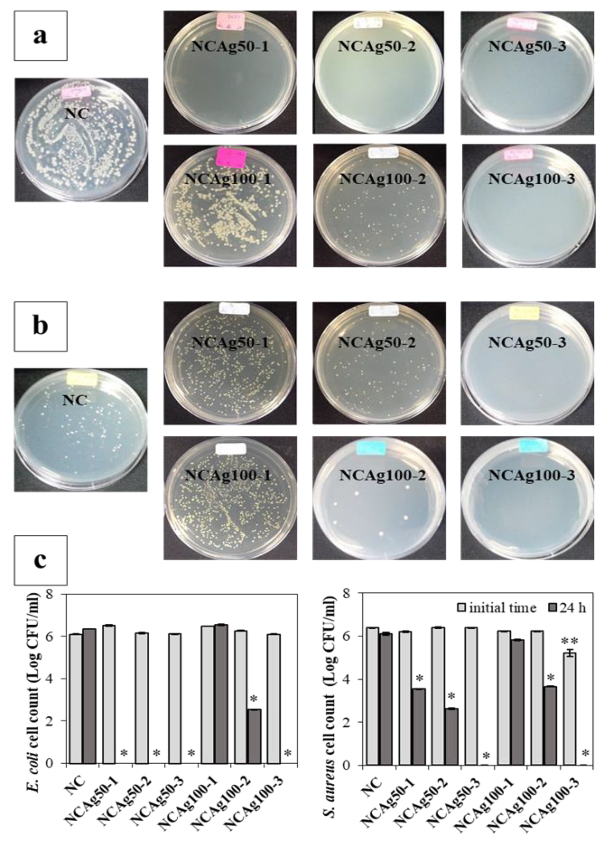 Nanomaterials 13 00521 g009 Nanomaterials 13 00521 g009