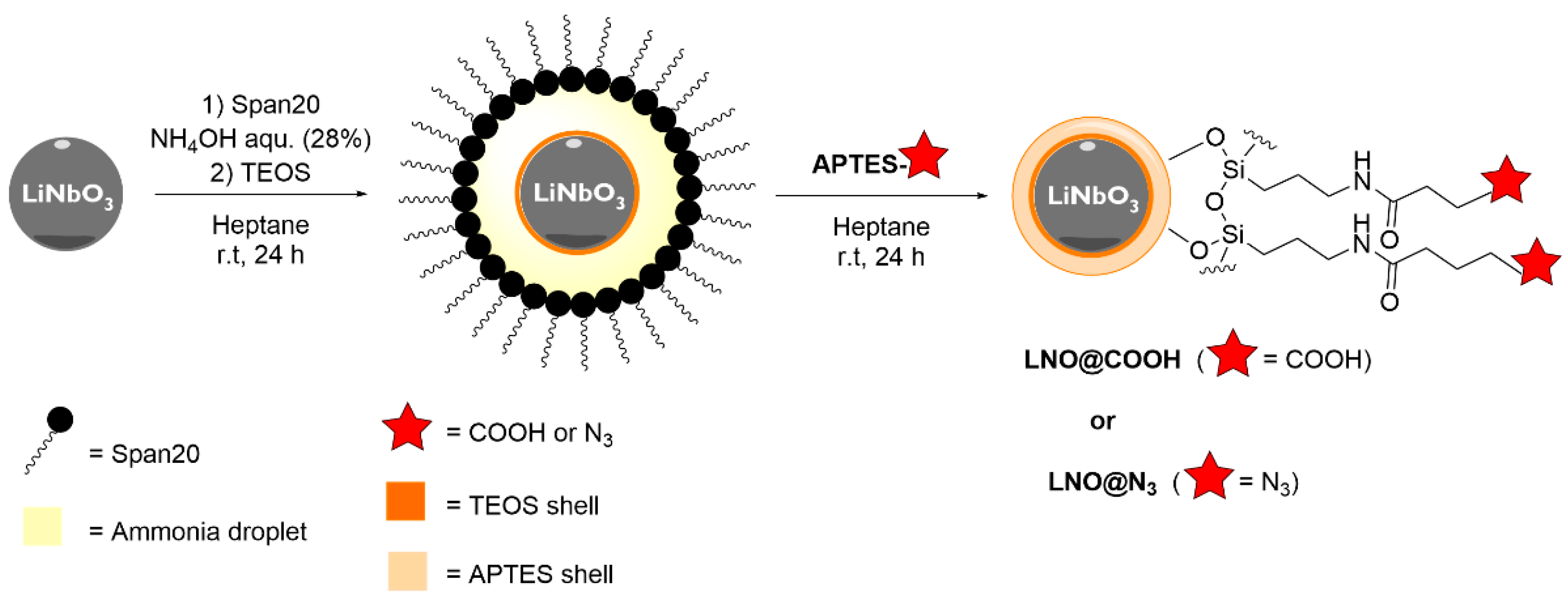 Nanomaterials 13 00522 sch001
