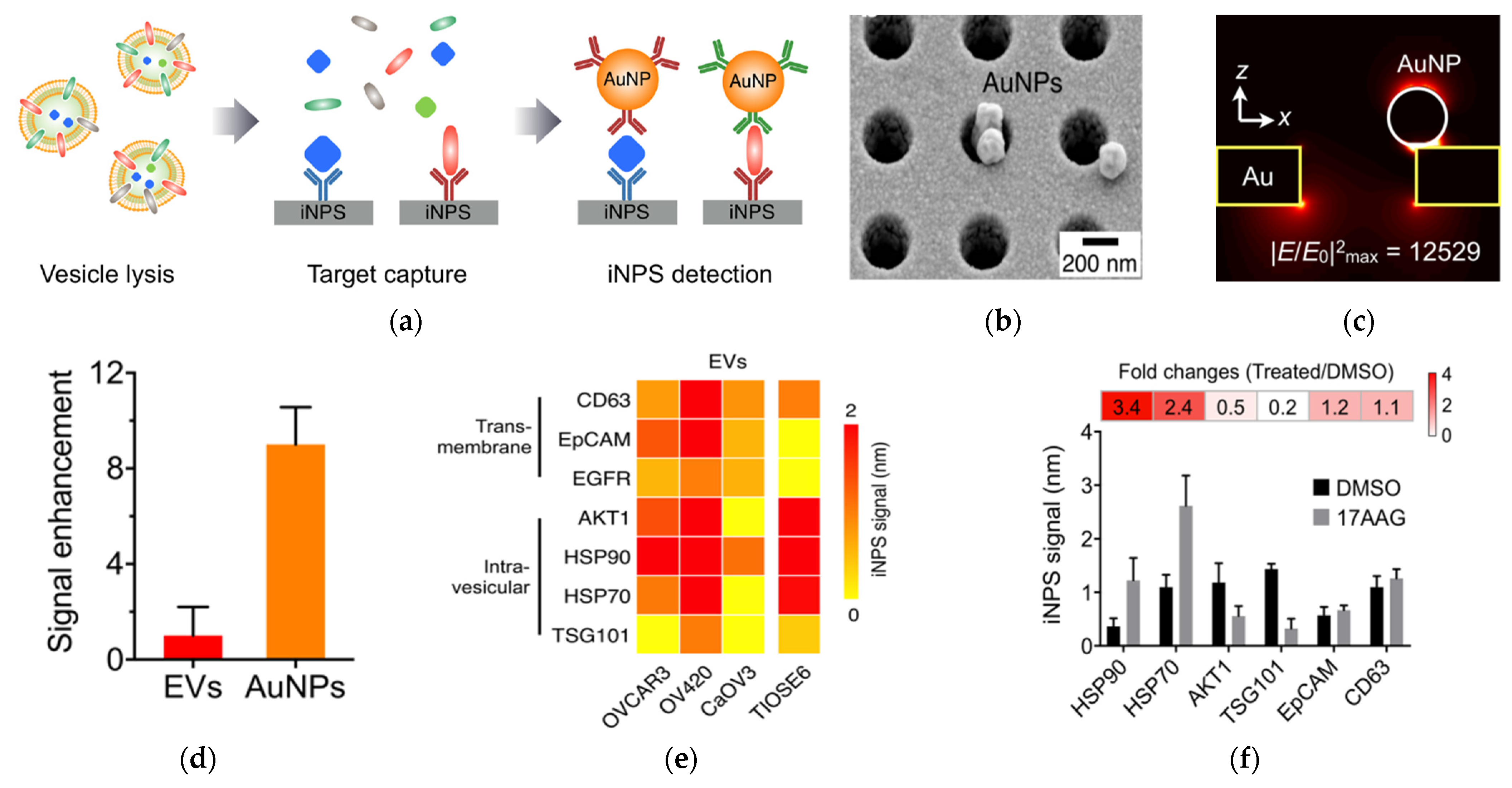 Nanomaterials 13 00524 g002