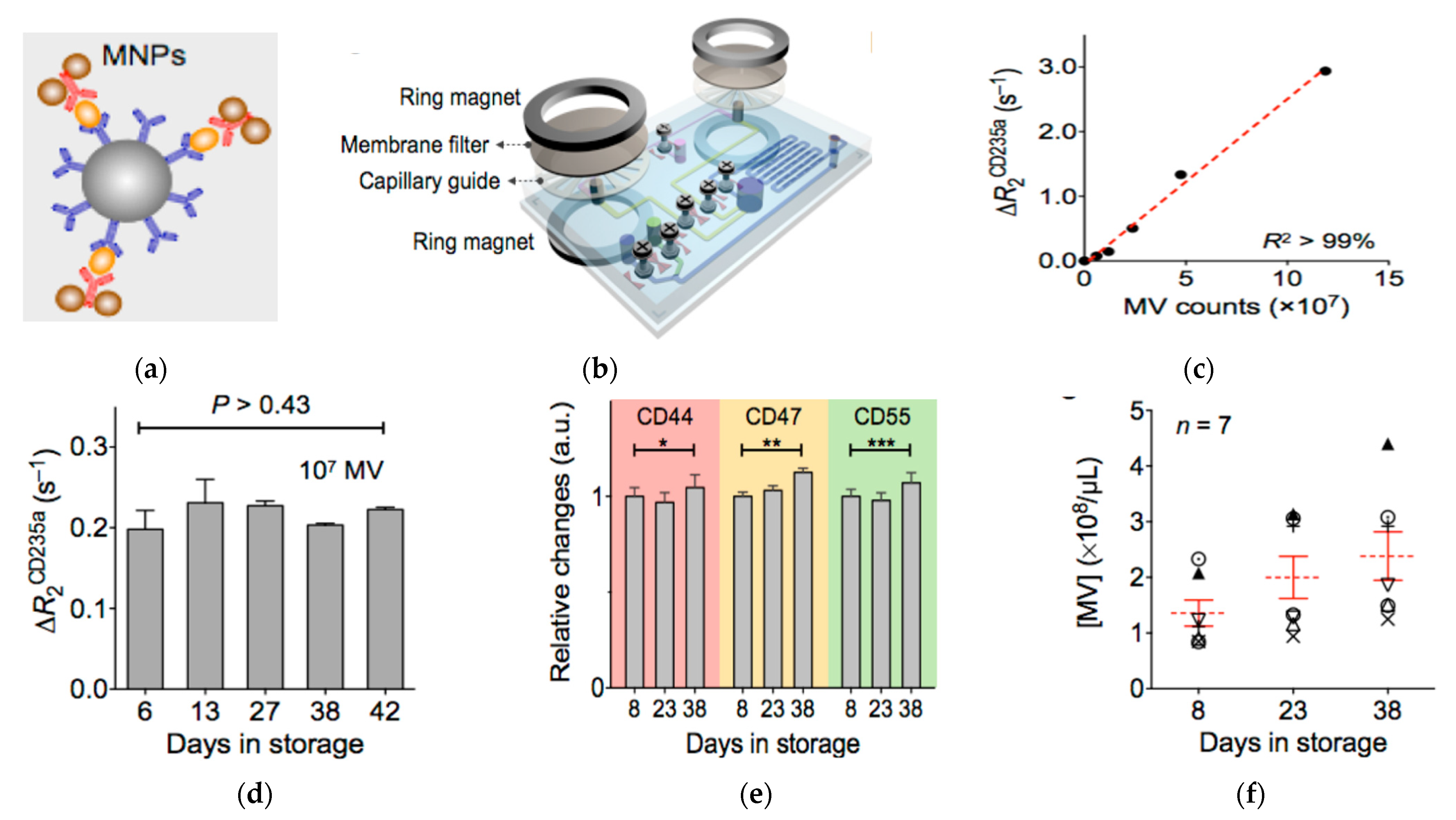 Nanomaterials 13 00524 g006