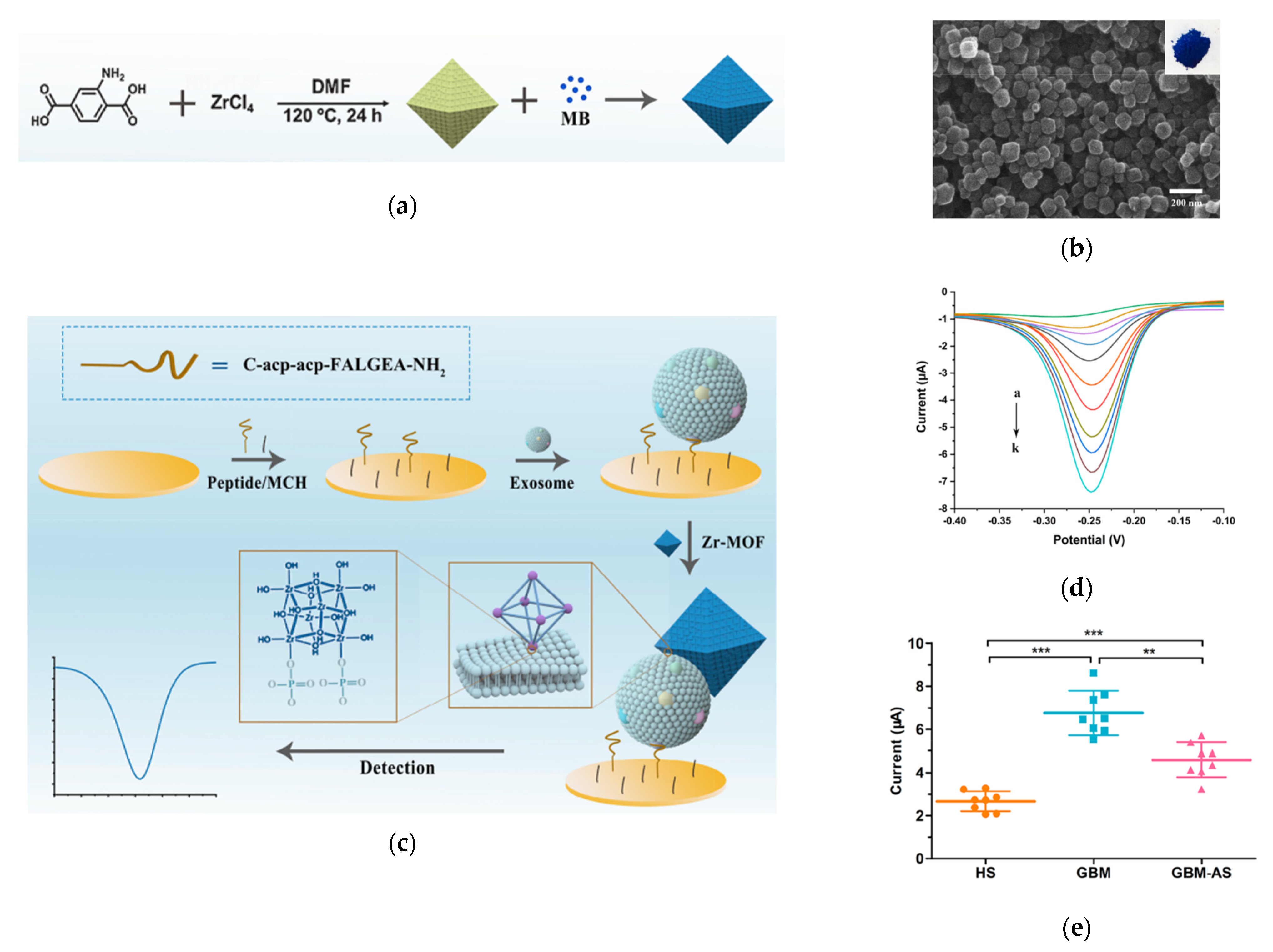 Nanomaterials 13 00524 g007