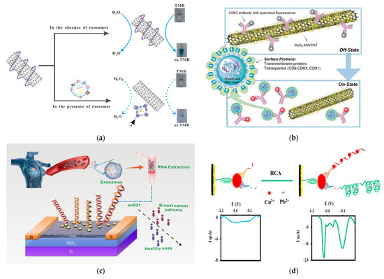 Nanomaterials 13 00524 g008