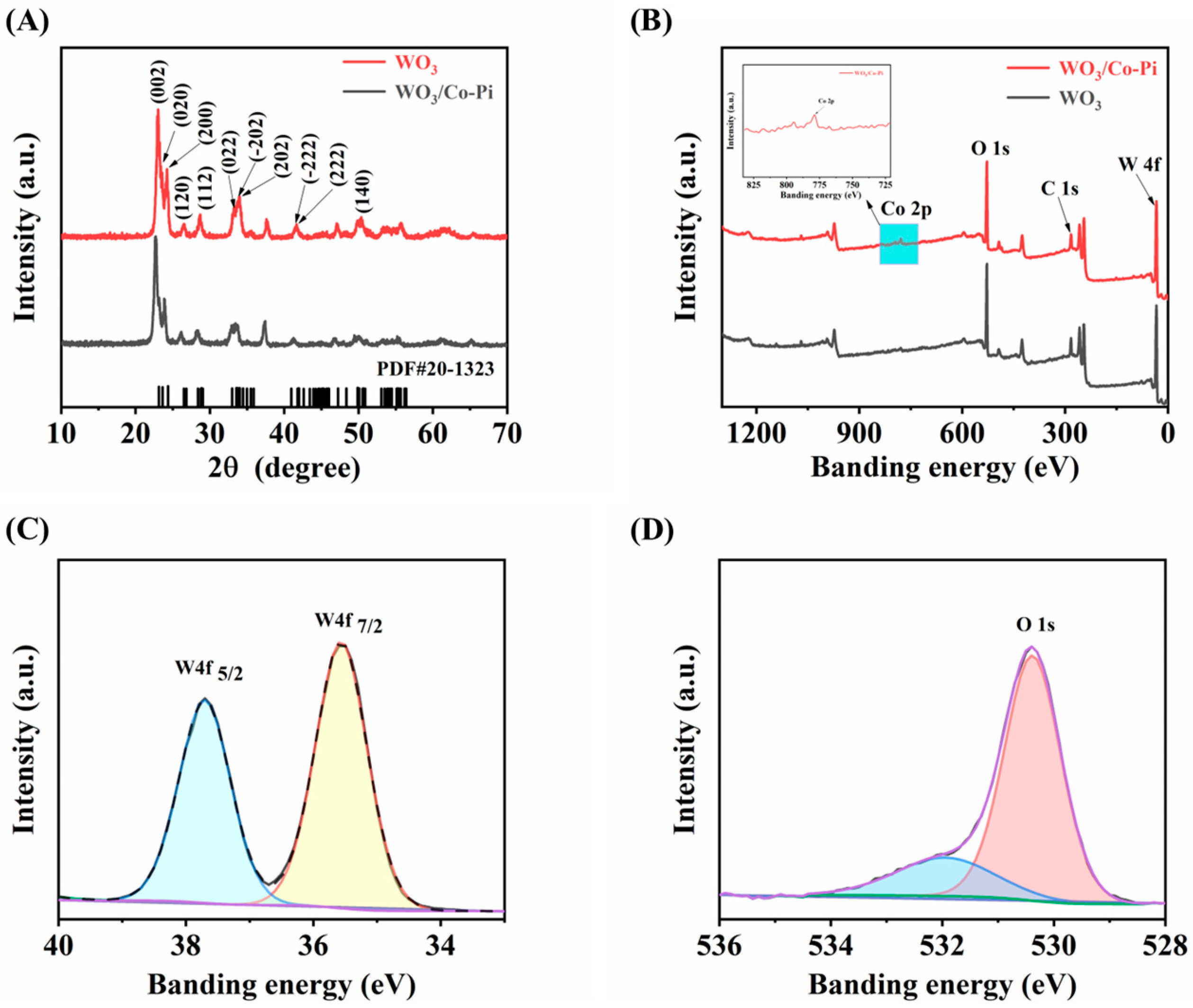 Nanomaterials 13 00526 g001