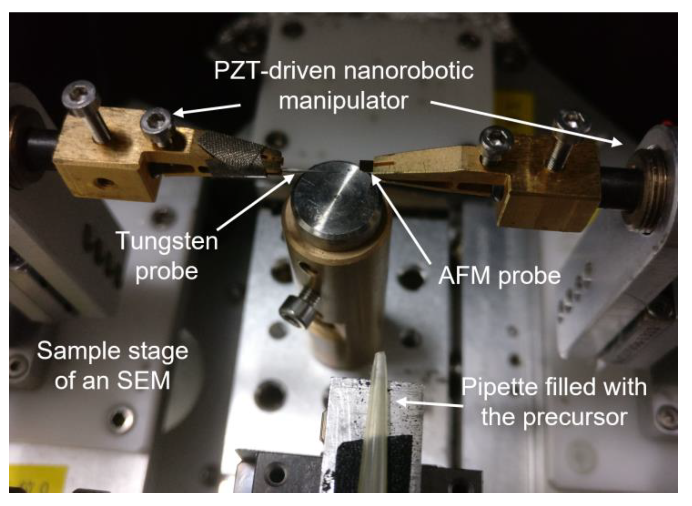Nanomaterials 13 00532 g001