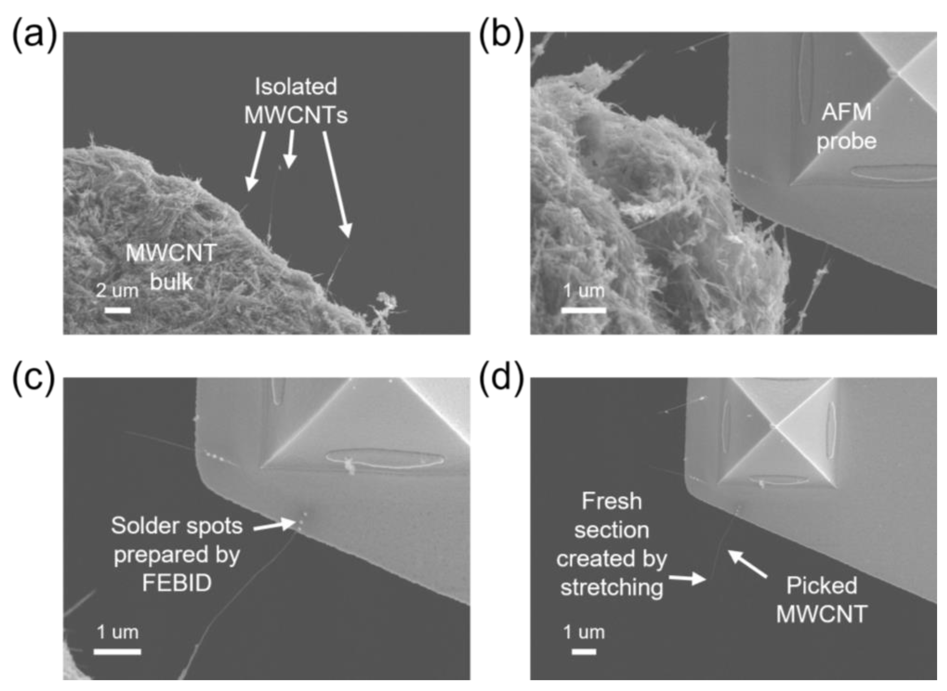 Nanomaterials 13 00532 g002