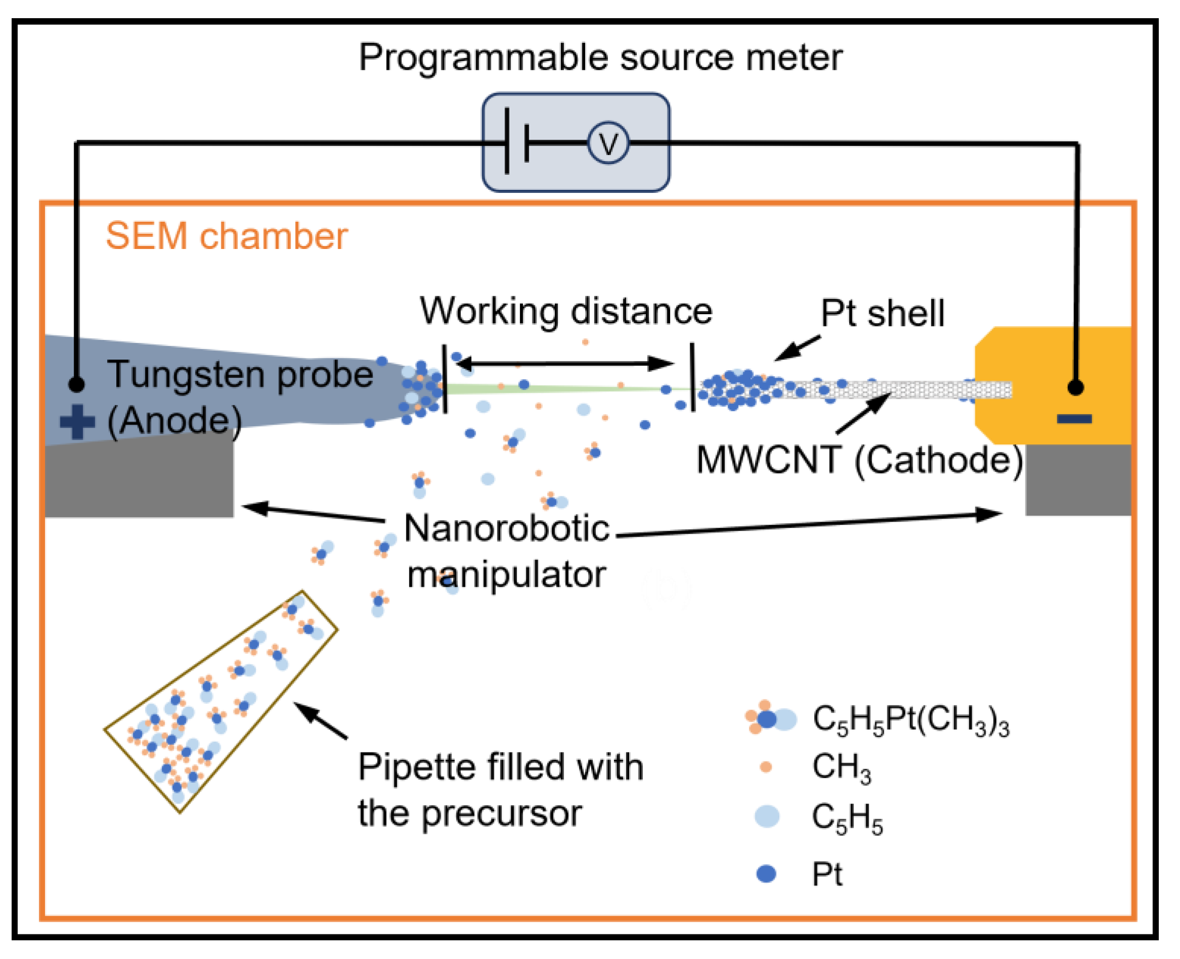 Nanomaterials 13 00532 g003