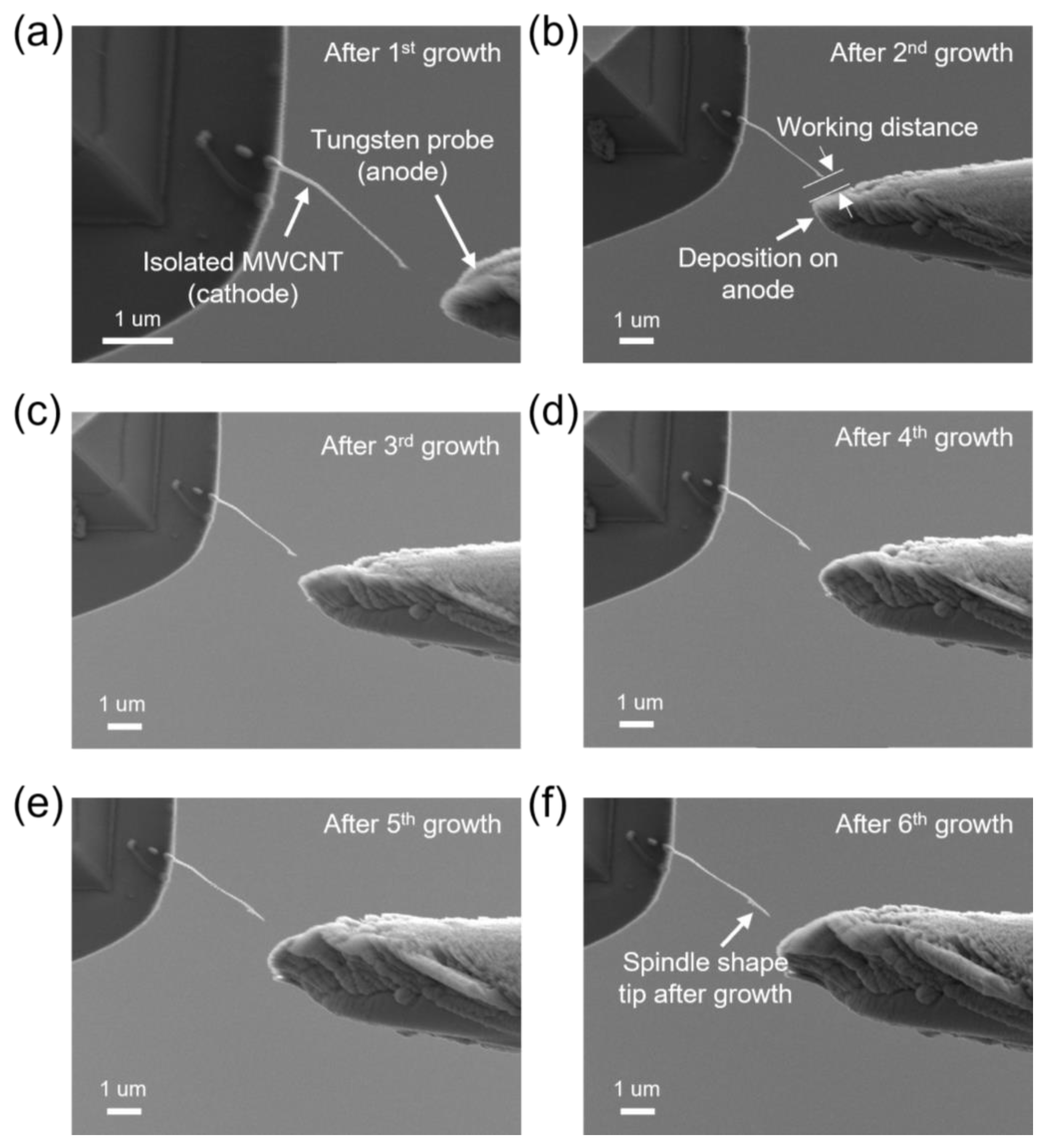 Nanomaterials 13 00532 g005