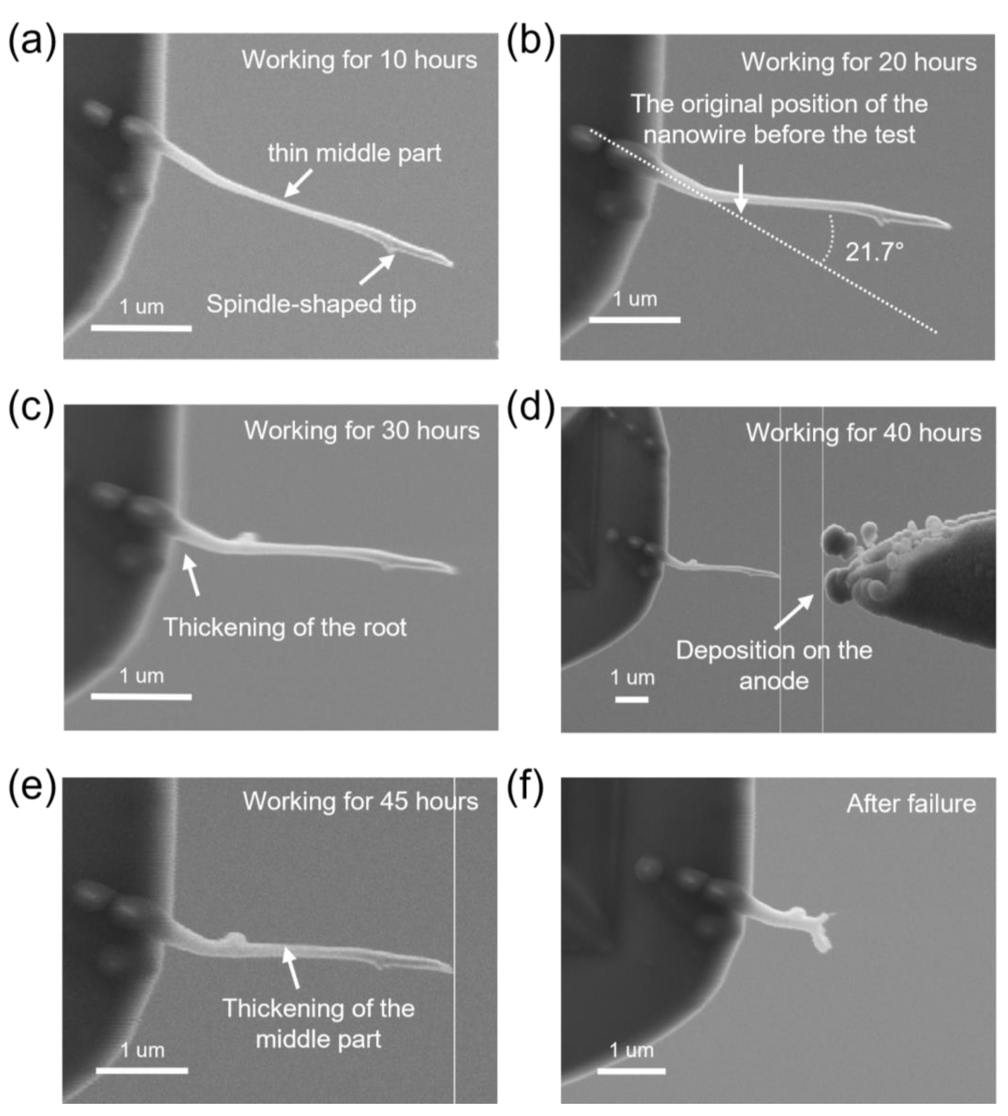 Nanomaterials 13 00532 g008