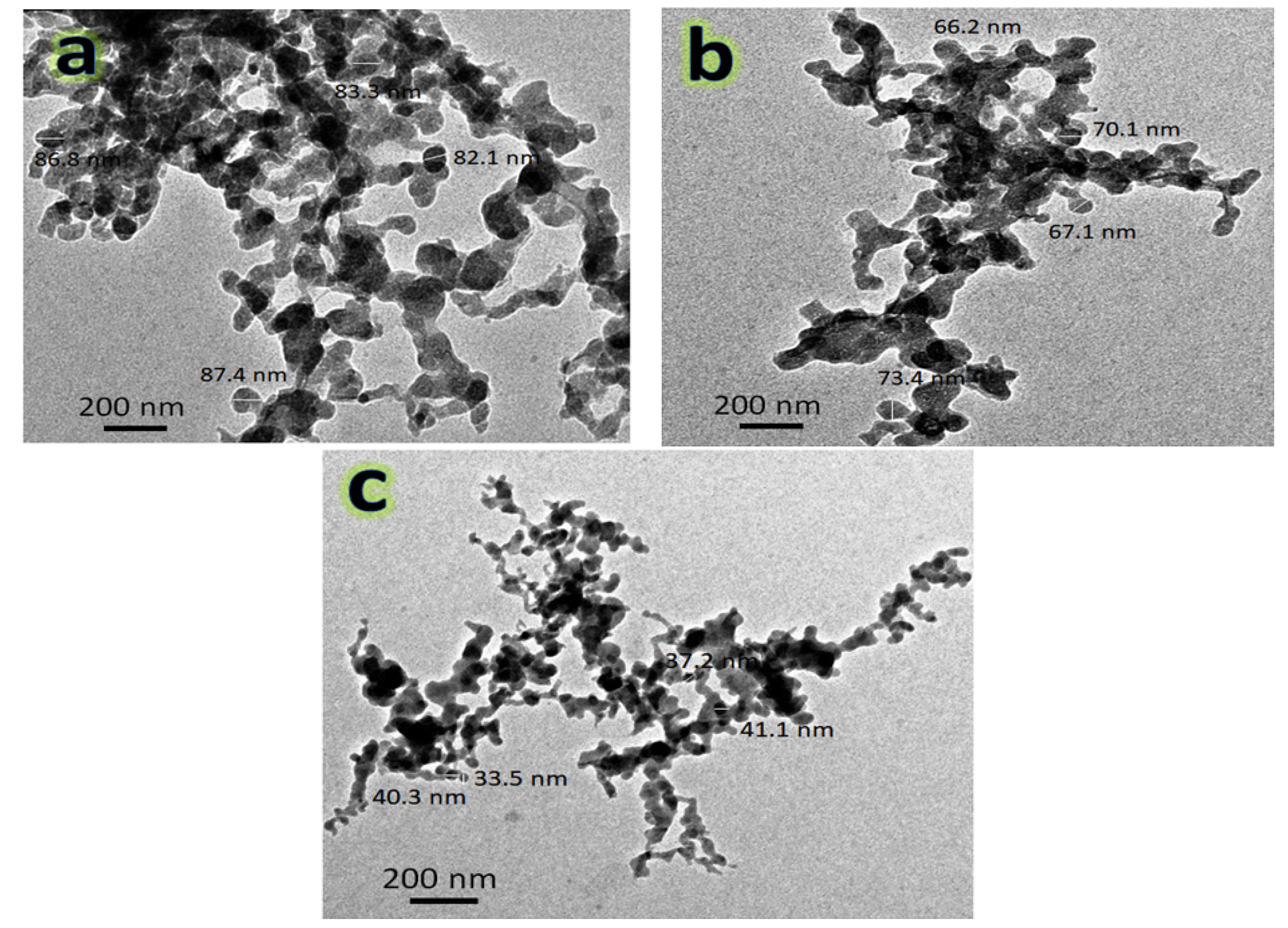 Nanomaterials 13 00537 g005