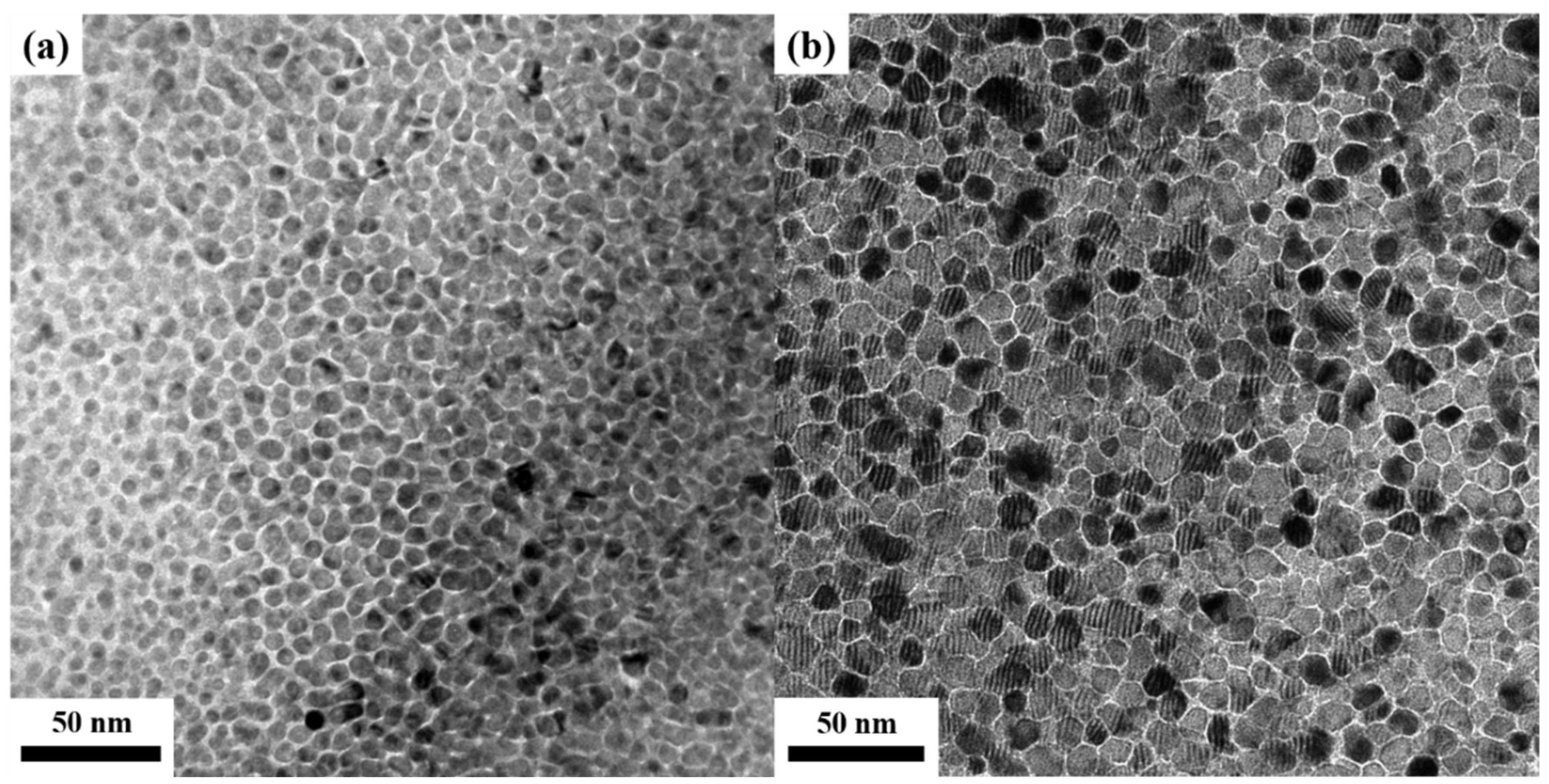 Nanomaterials 13 00539 g007a