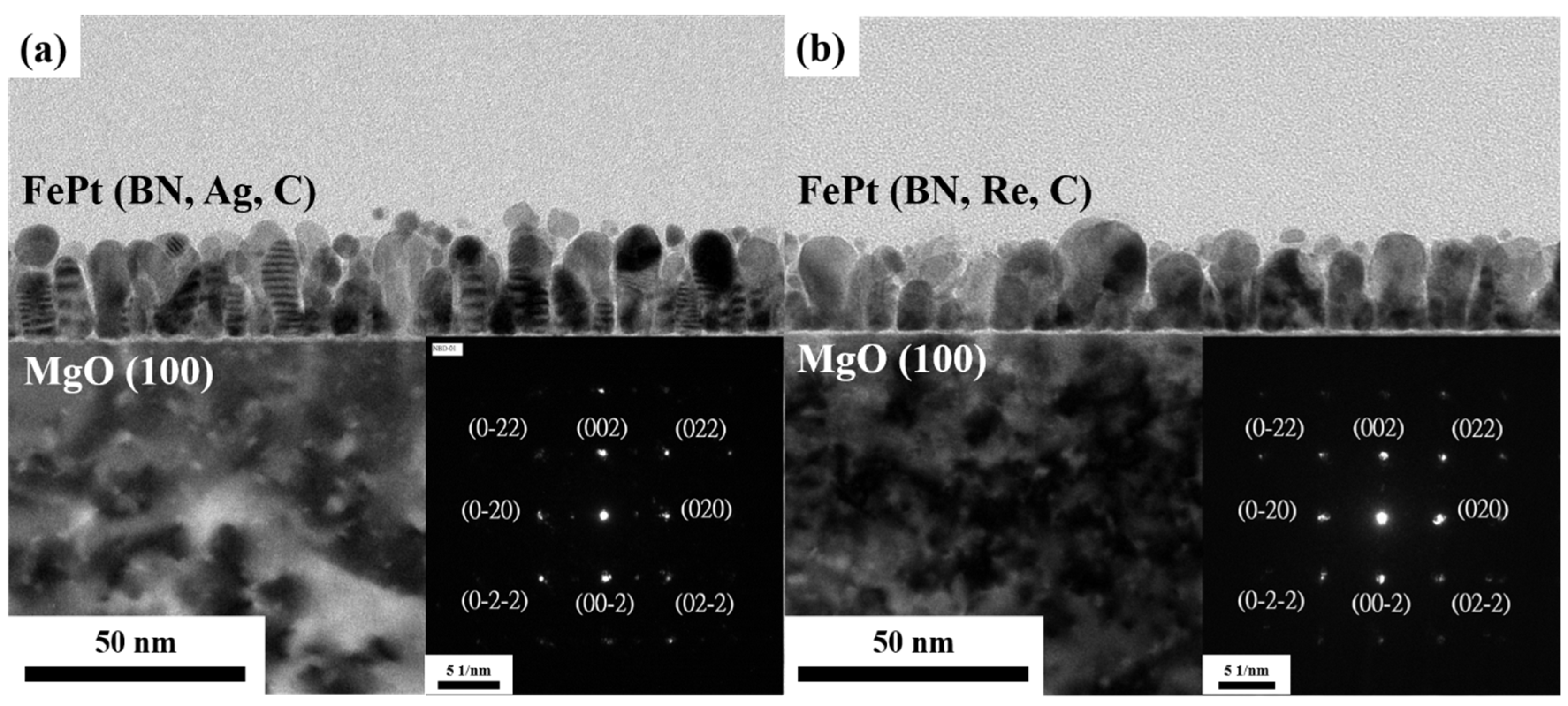 Nanomaterials 13 00539 g010