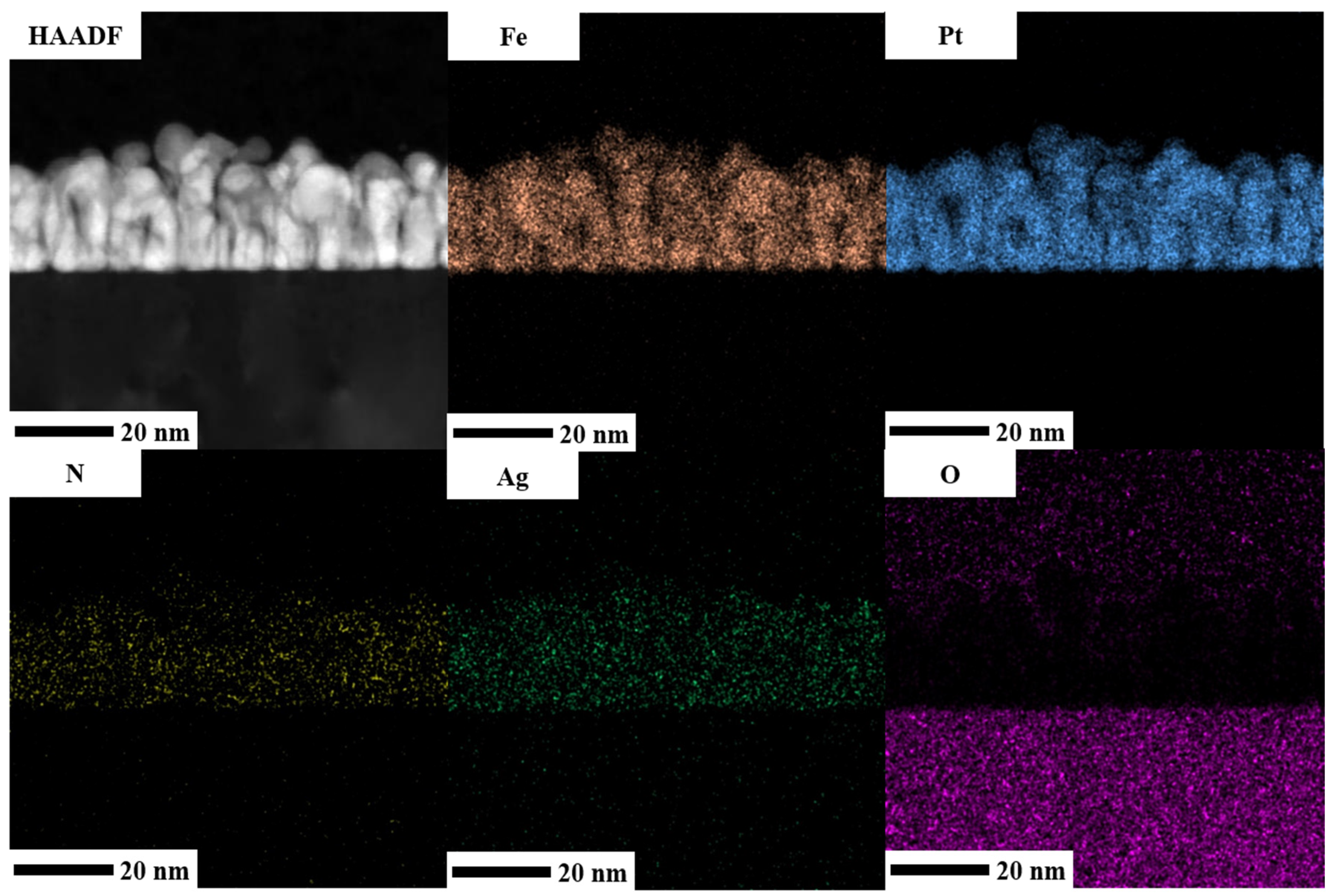 Nanomaterials 13 00539 g011